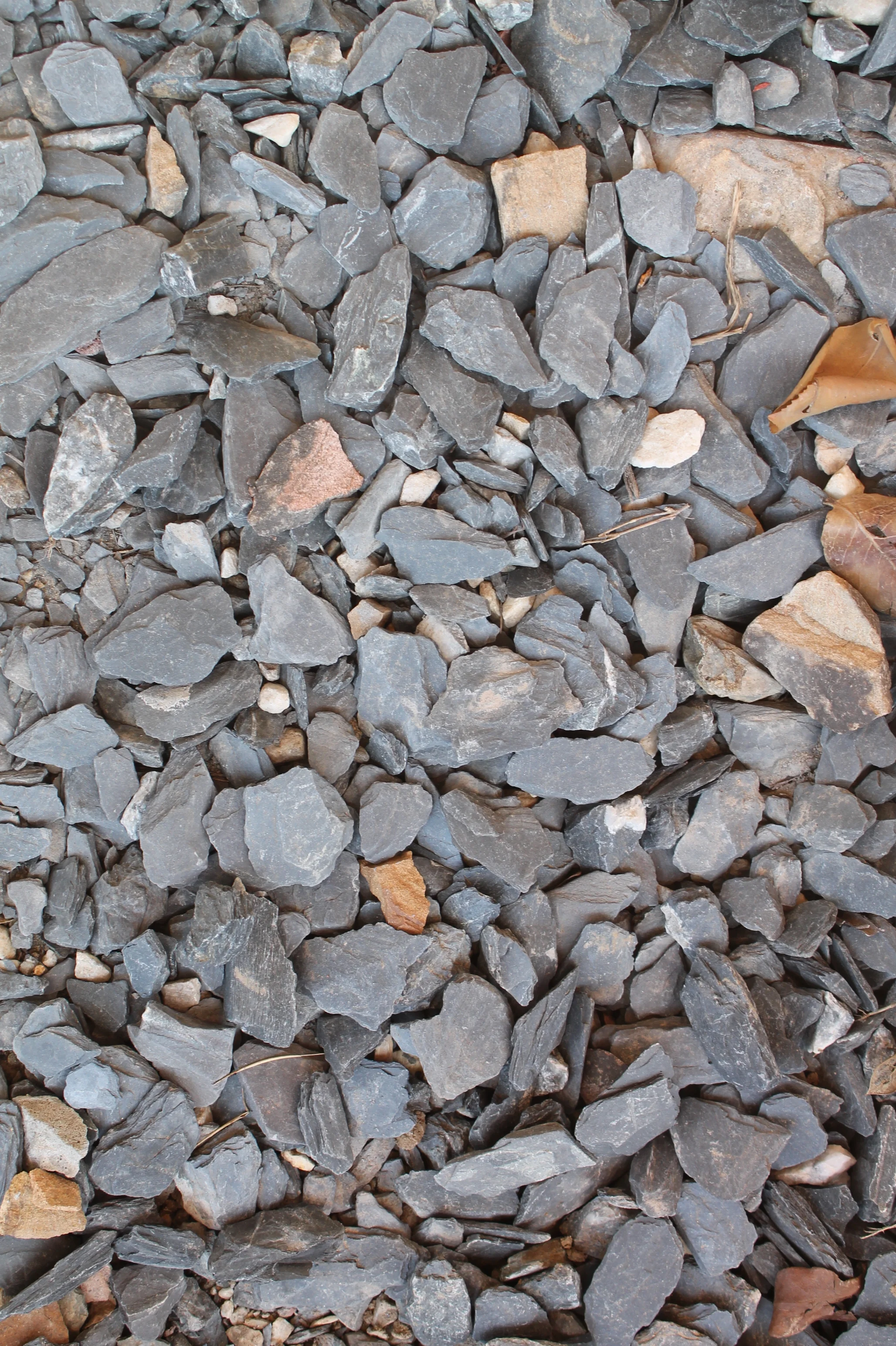 Slate Chips & Path