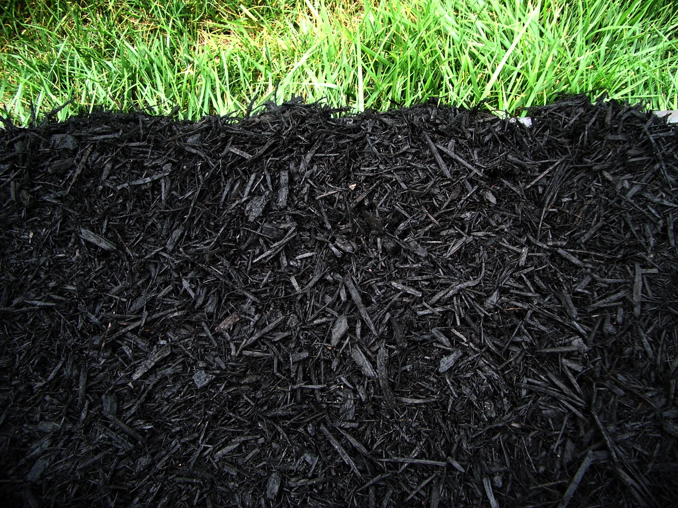 Black-Mulch.jpg