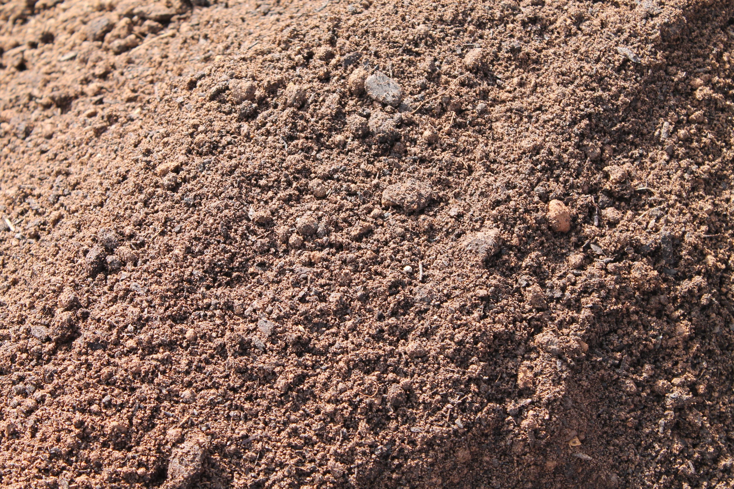 Plant Mix