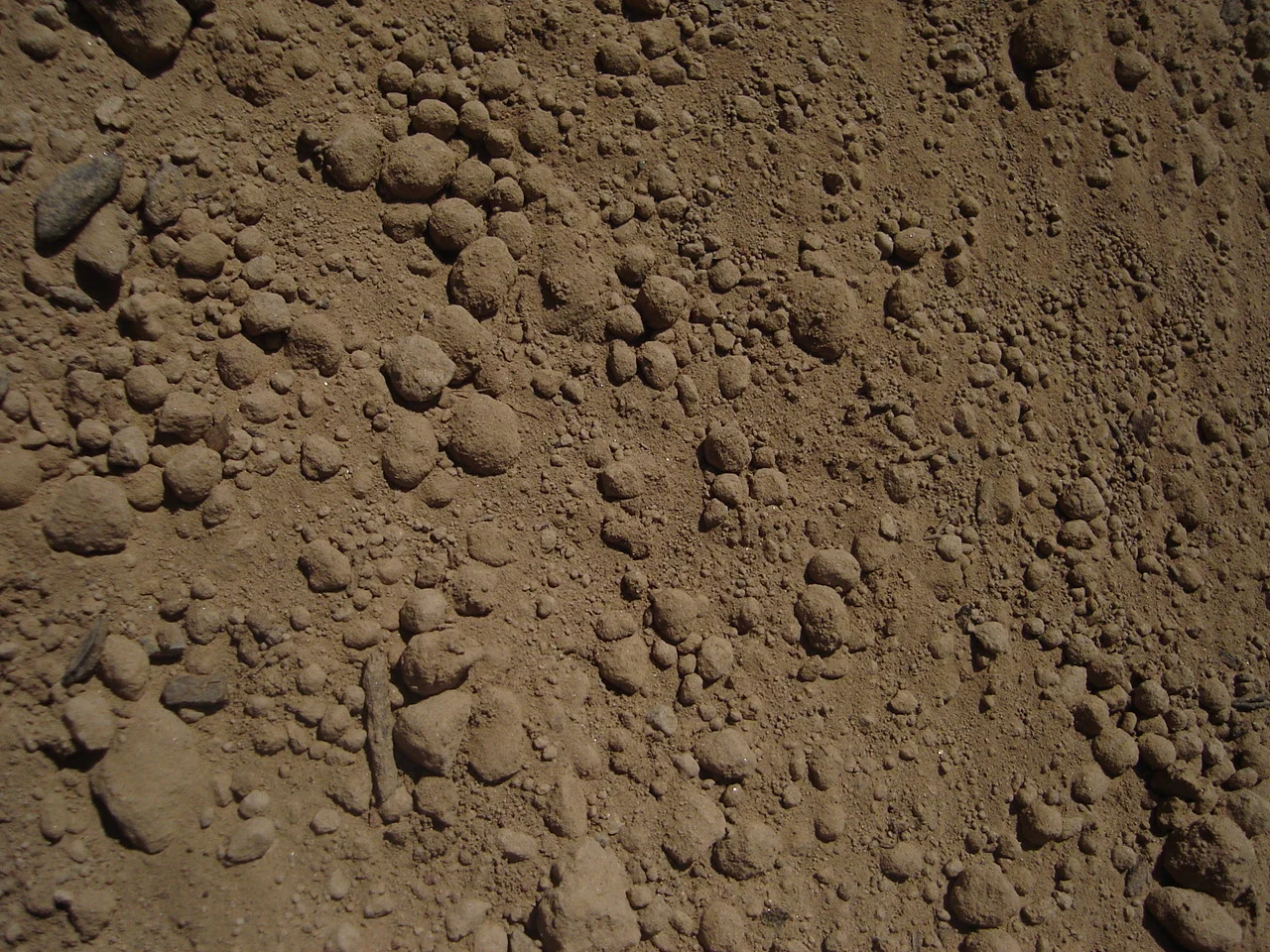 Screened Topsoil