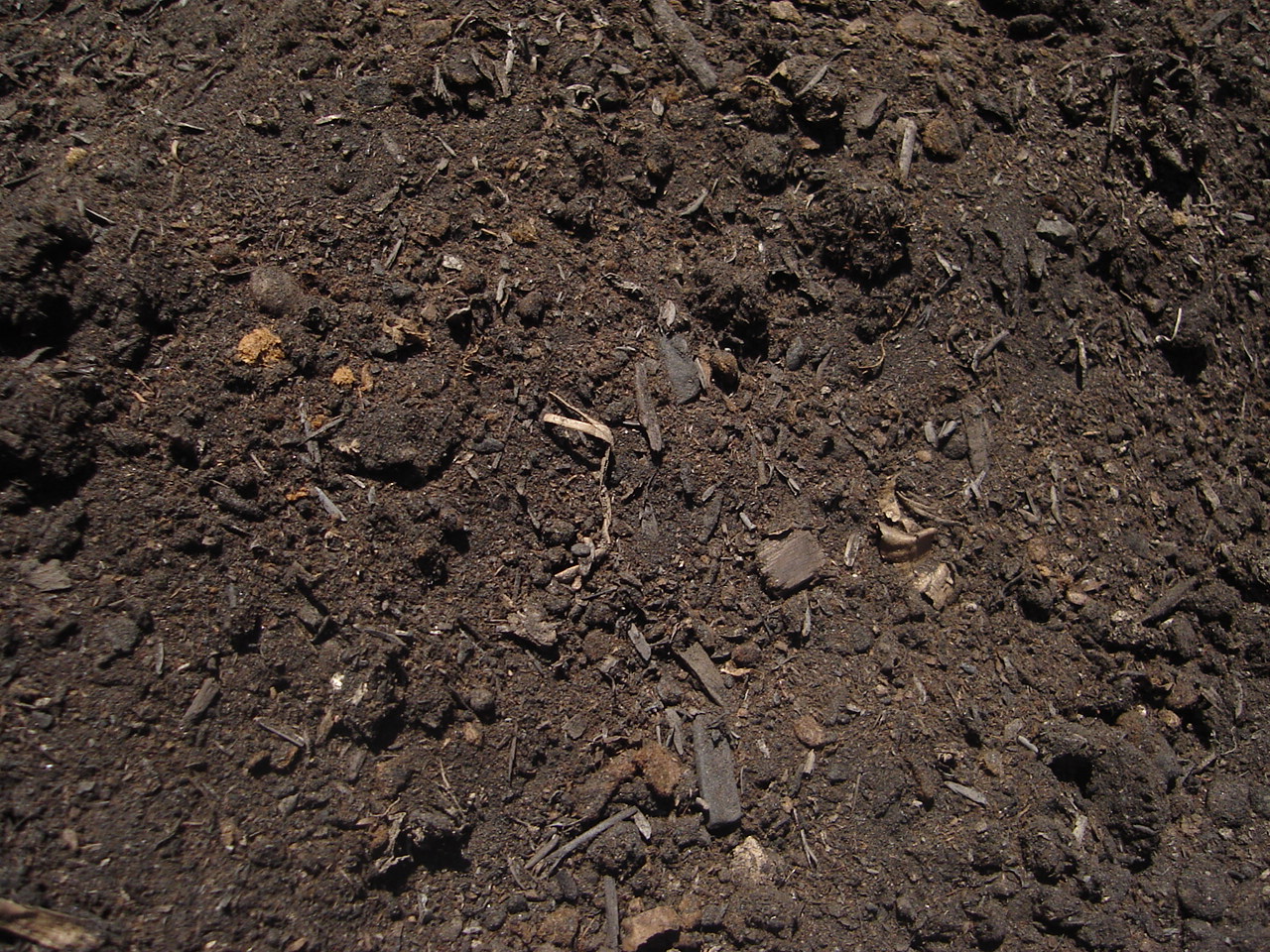 Organic Compost
