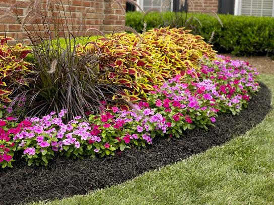 mulch01.jpg