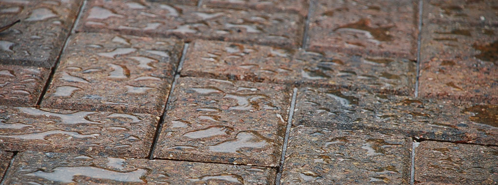 Sealers: Why and Which one?