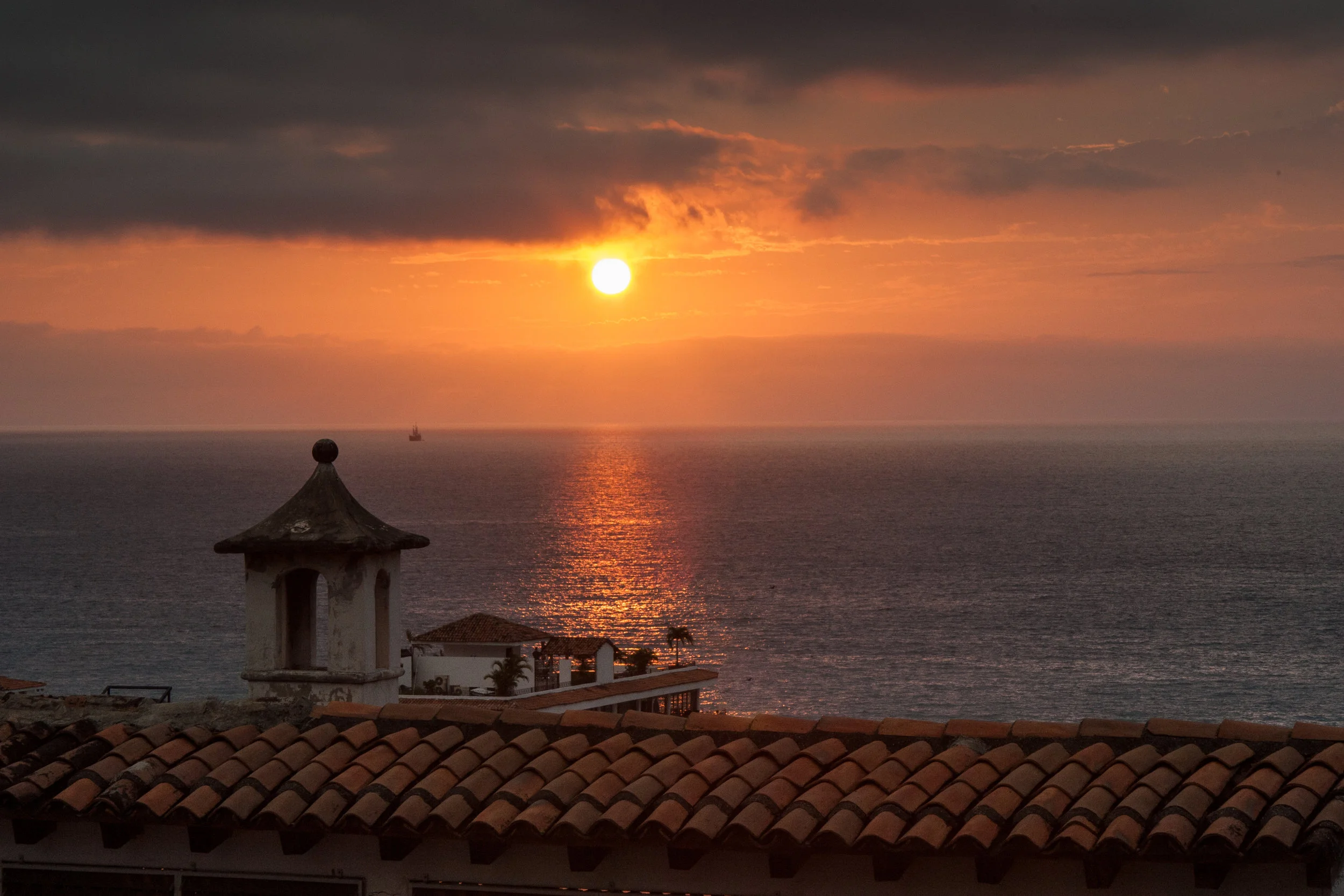 IMG_8486.jpg