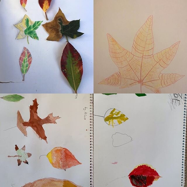 The Smartartists have been collecting autumn leaves to draw and paint.
Great job... thanks for sharing.🍁🍁🍁🍁