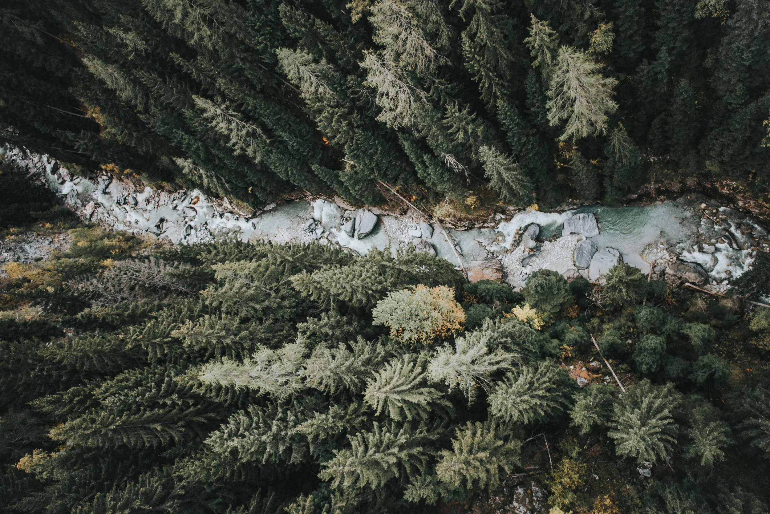 bossfight-free-high-stock-photos-river-water-trees-forest.jpg