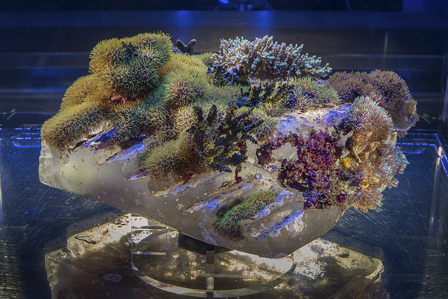 Glenn Kaino, installation details, Tank , 2015. Image credit: E.G. Schempf