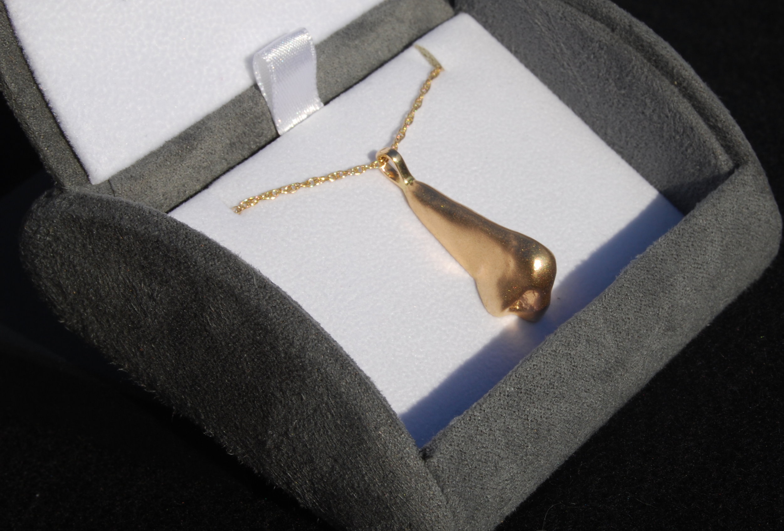 ... the real Golden Nose!