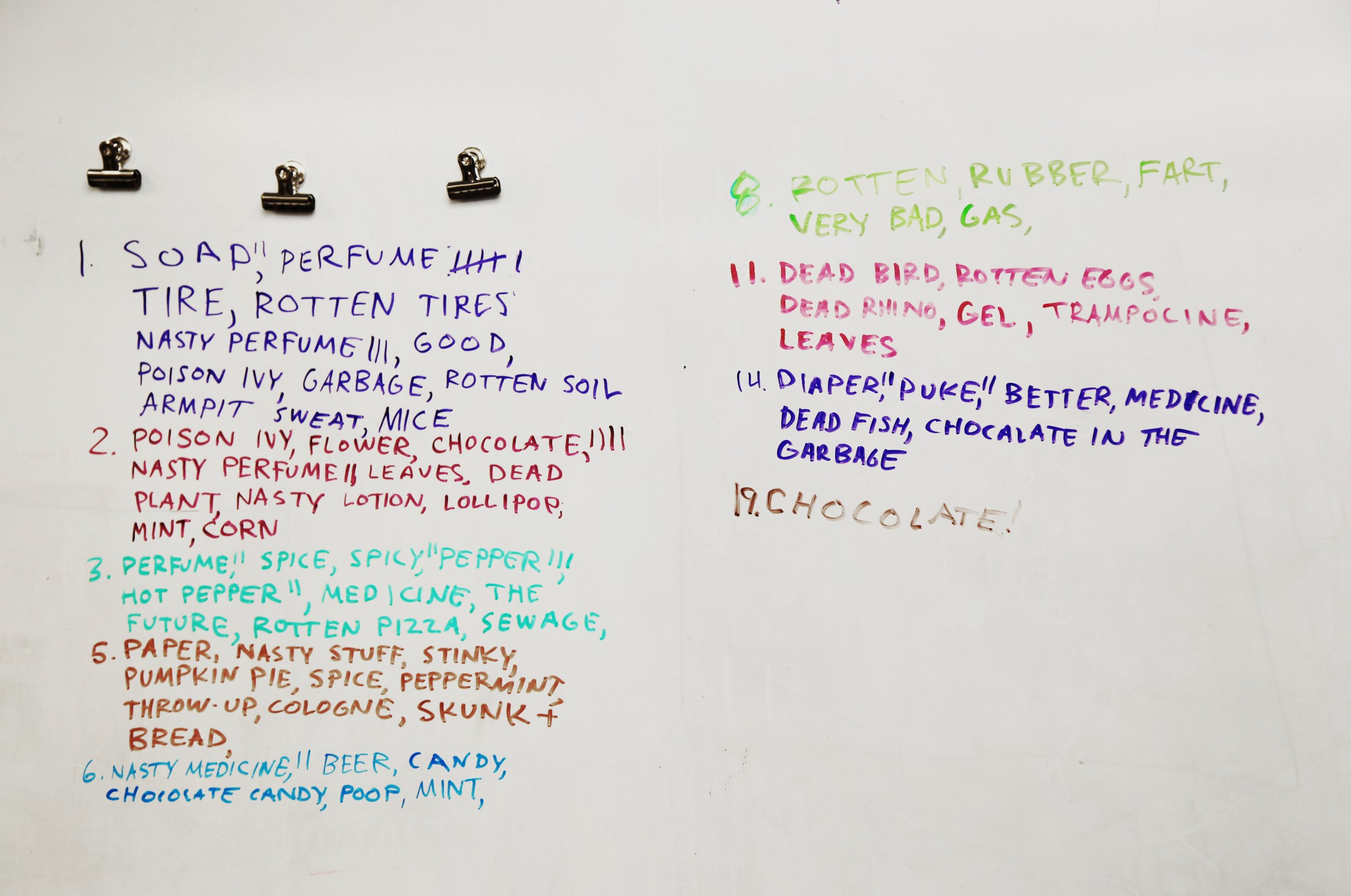 Smell observations collected during a workshop with elementary school children from Kansas City, Missouri, led by Sissel Tolaas and Seth Johnson, 2012. (photo: Megan Mantia)