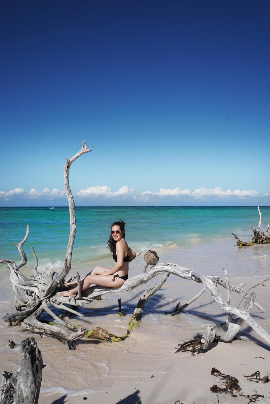 Take a day trip to Cayo Jutias