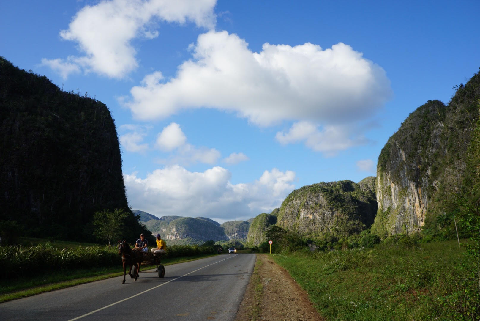 Bike ride through Valle de Viñales (Viñales Valley)