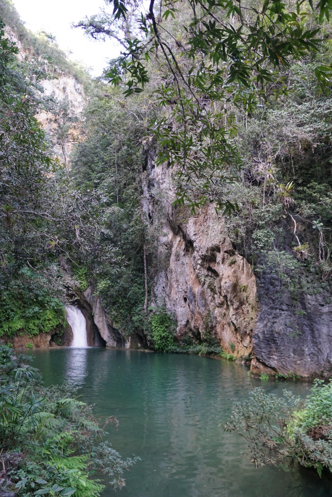 topes de collantes