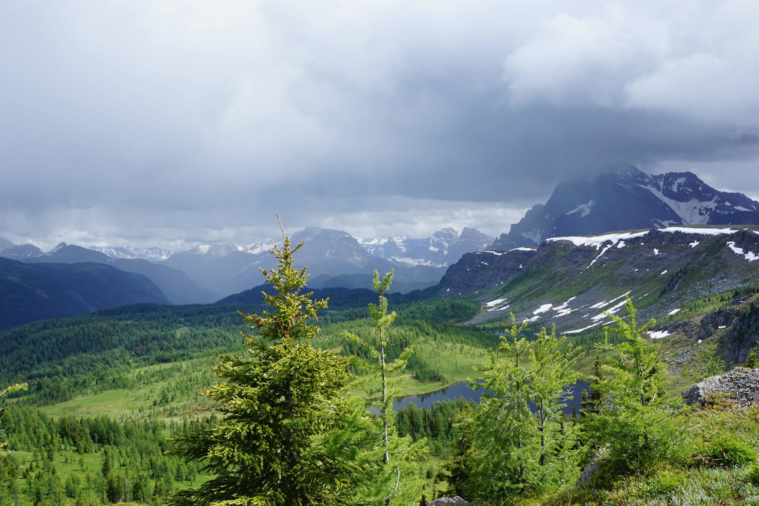 Vistas on Healy Pass Trail.