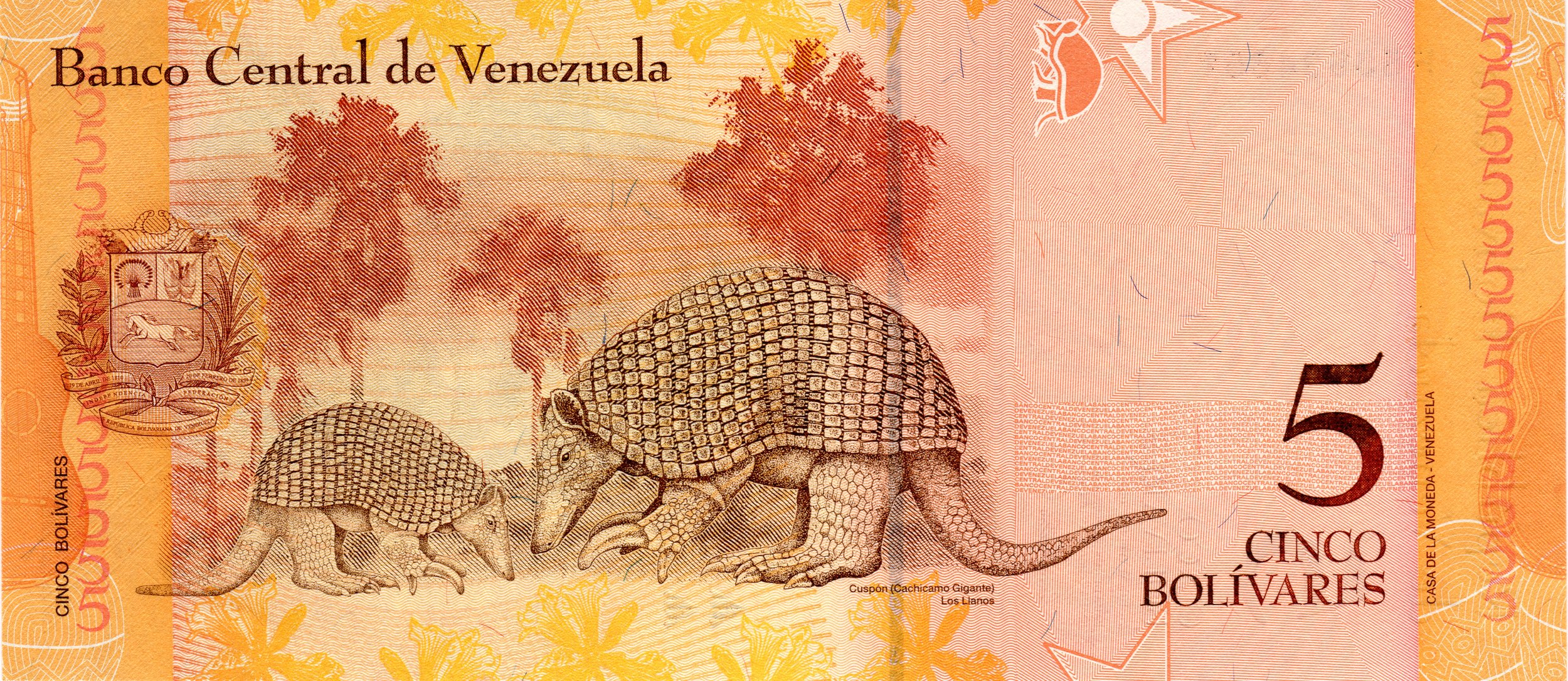 Banknotes need more Armadillo!