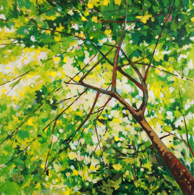 SUMMER CEILING #1