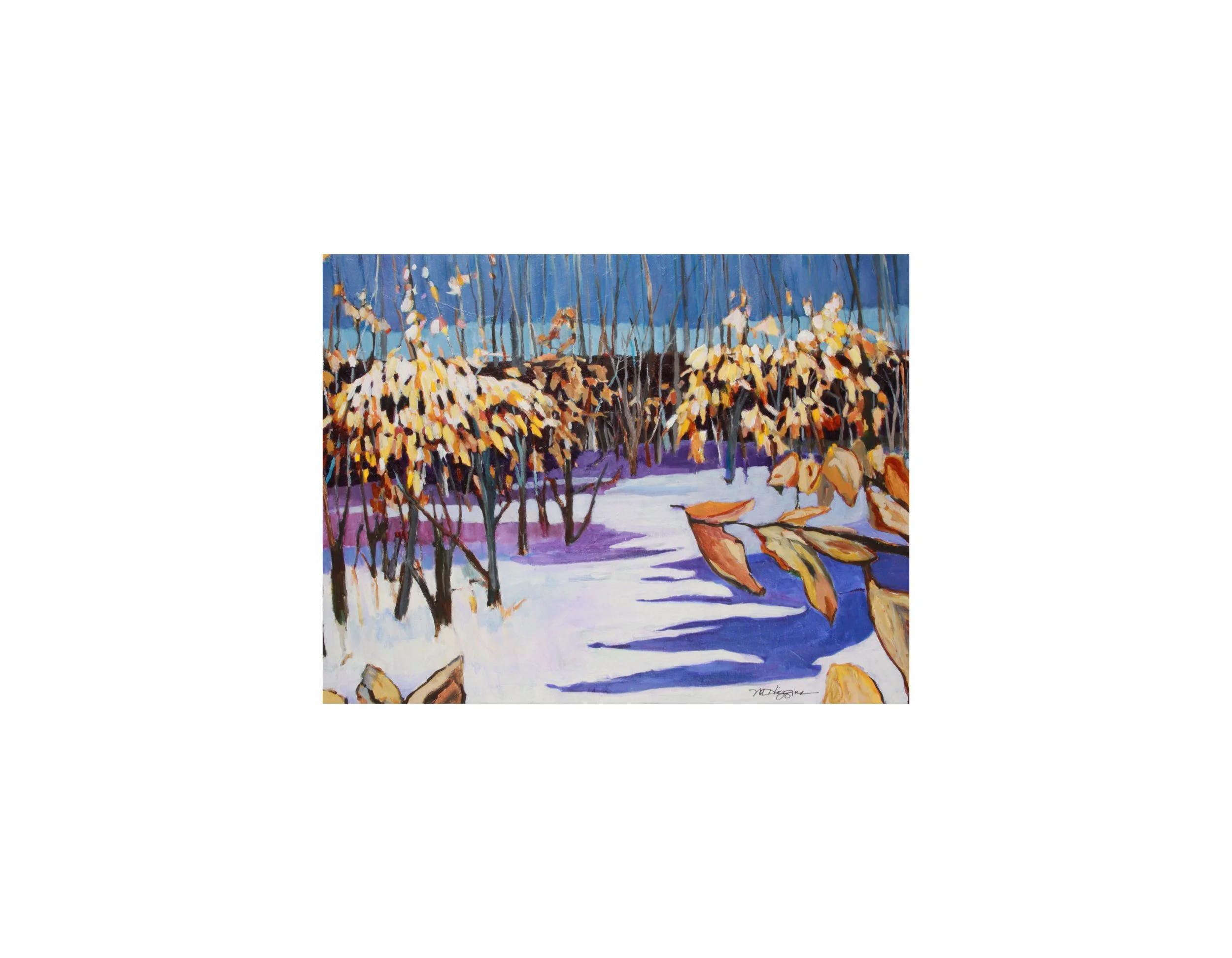 Beech Grove In Winter jpeg 300 dpi 5x7.JPG