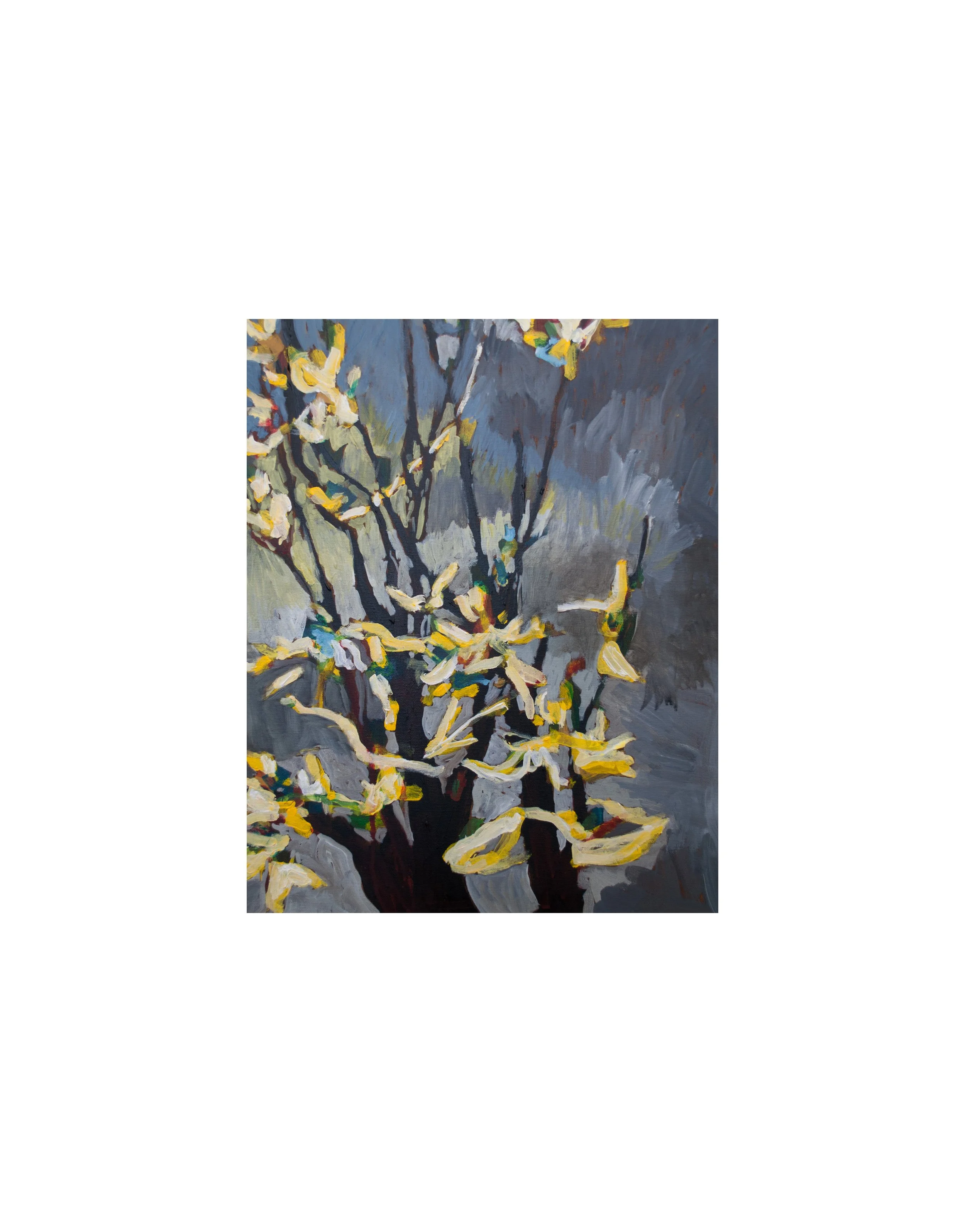 Early Spring Branches #4