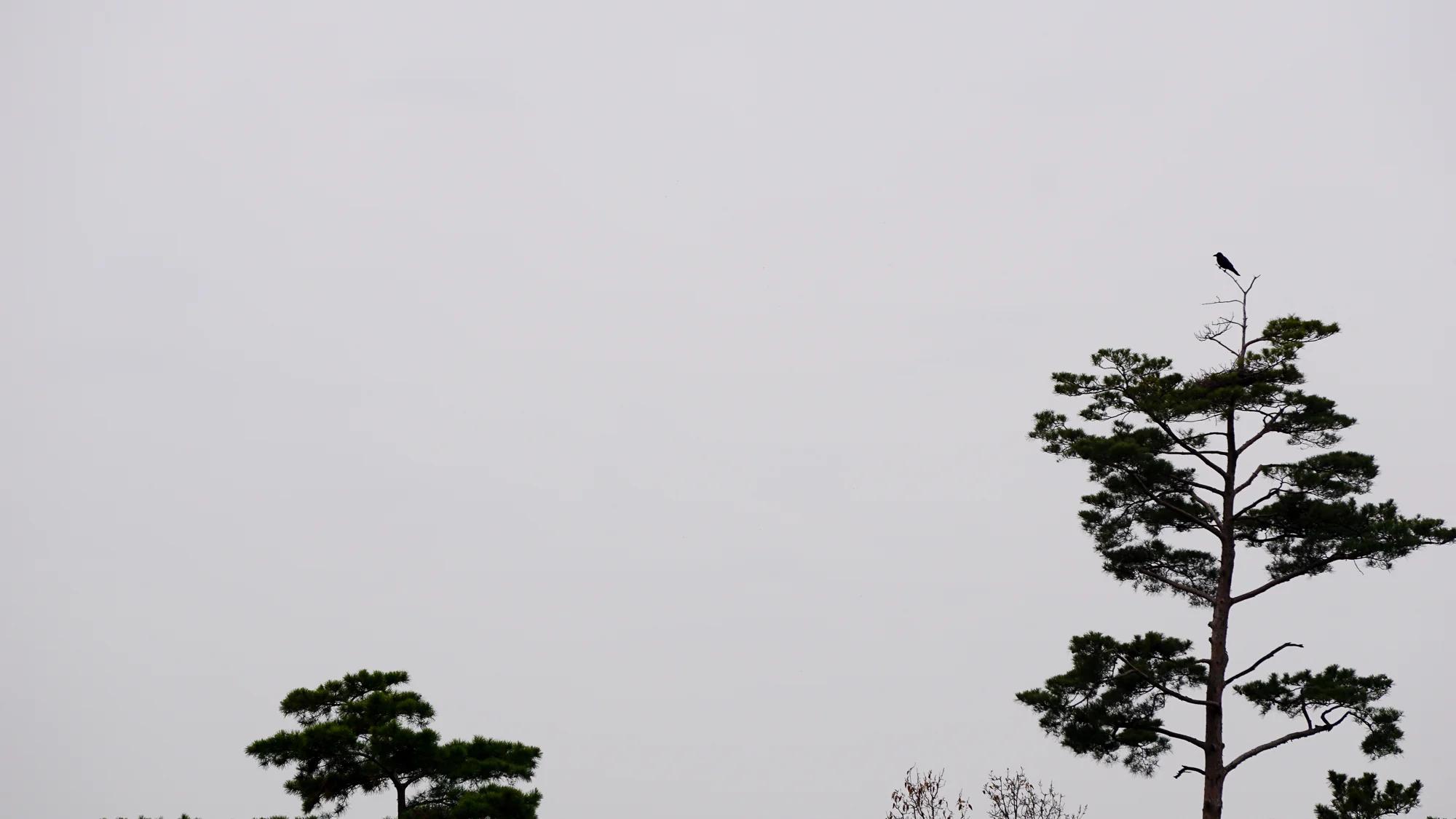 20141123-DSC00553.jpg