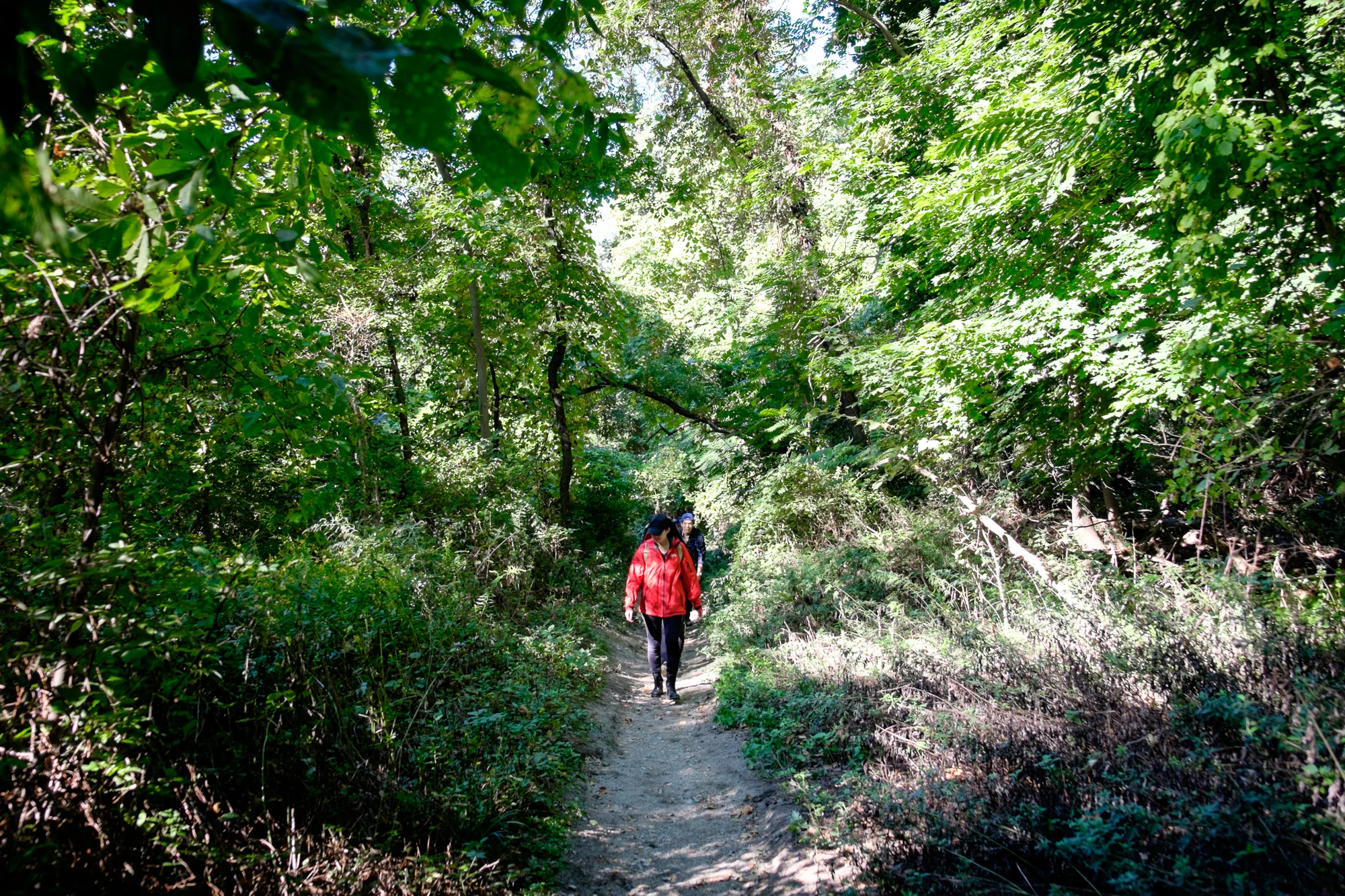 PHWF Hiking-9.jpg