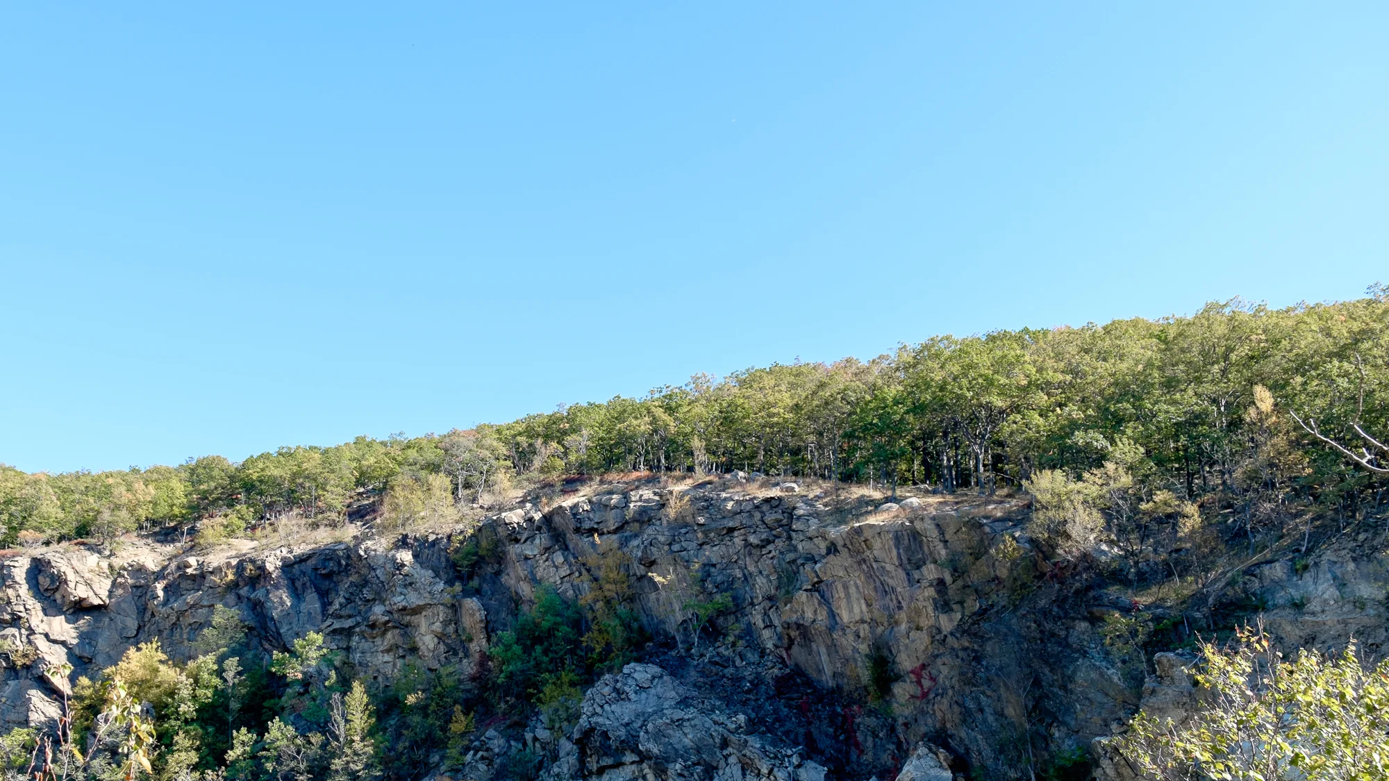 PHWF Hiking-12.jpg