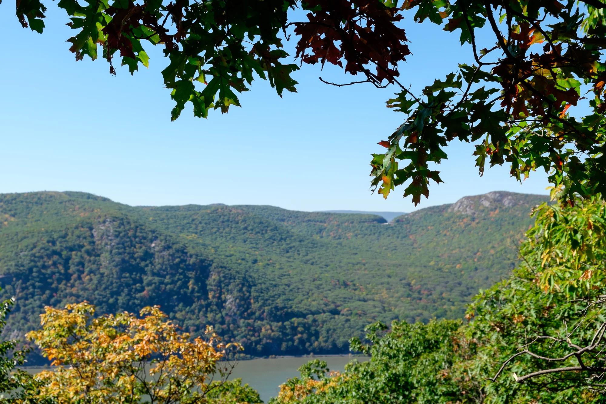 PHWF Hiking-20.jpg