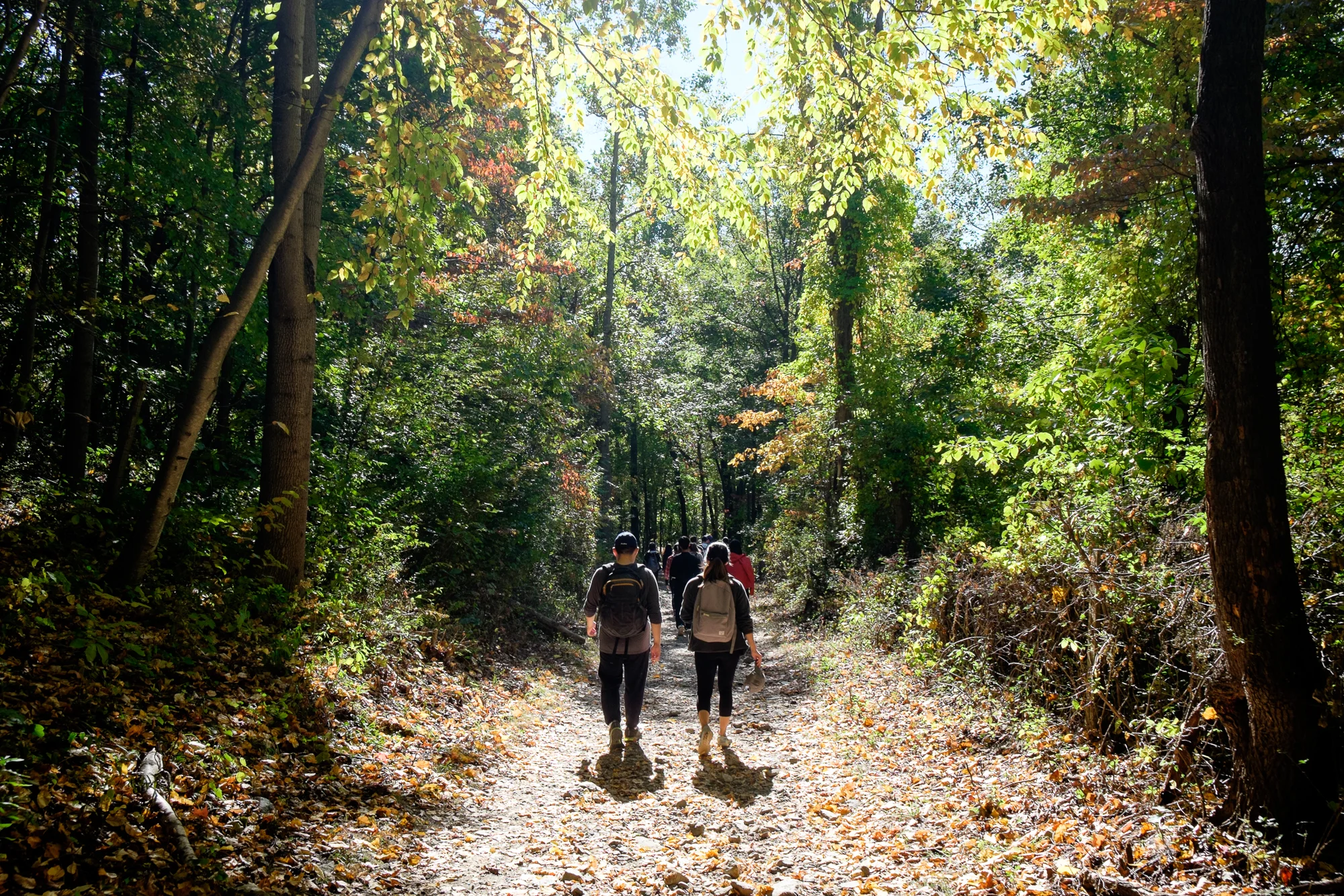 PHWF Hiking-45.jpg