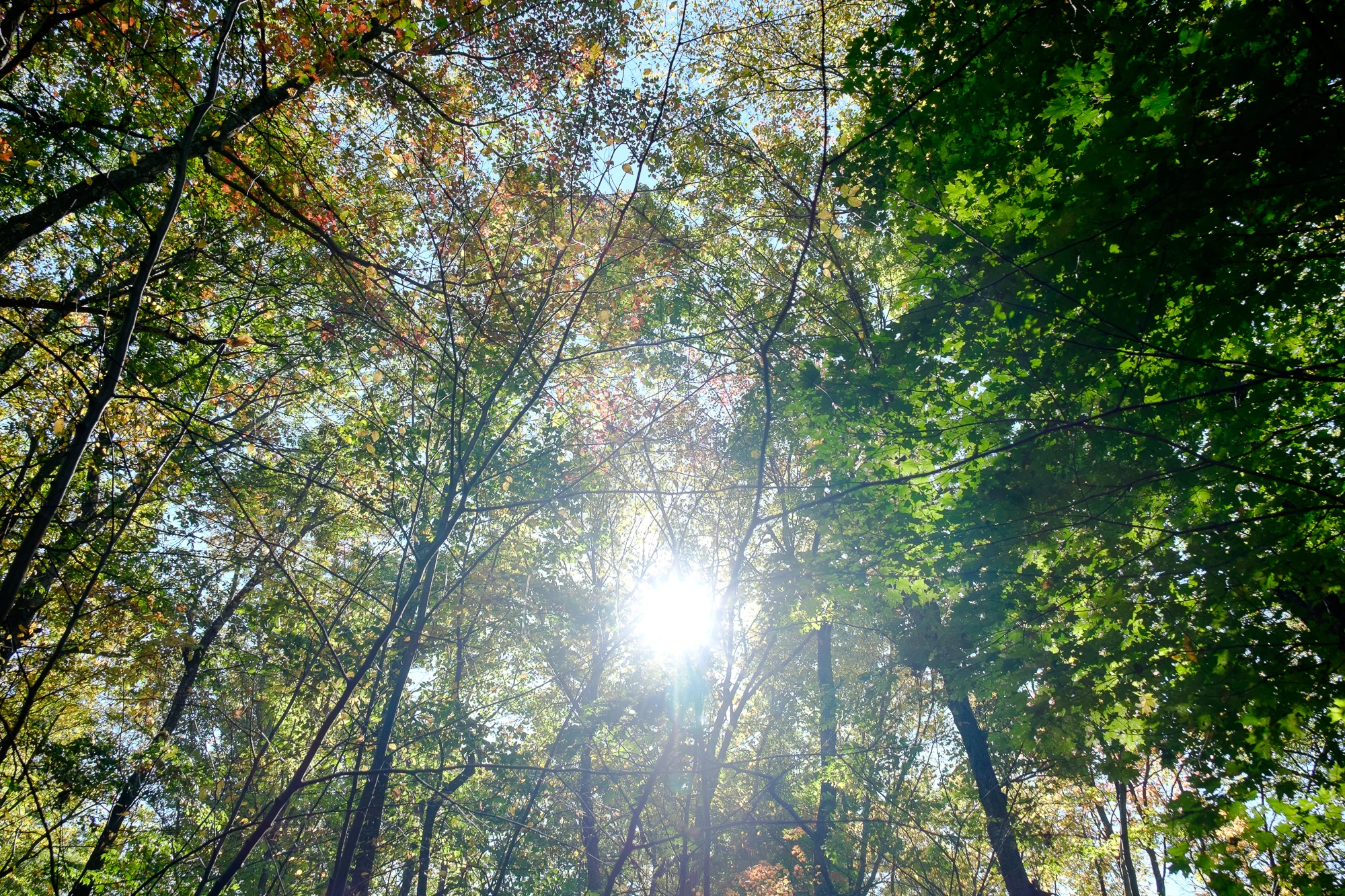 PHWF Hiking-41.jpg