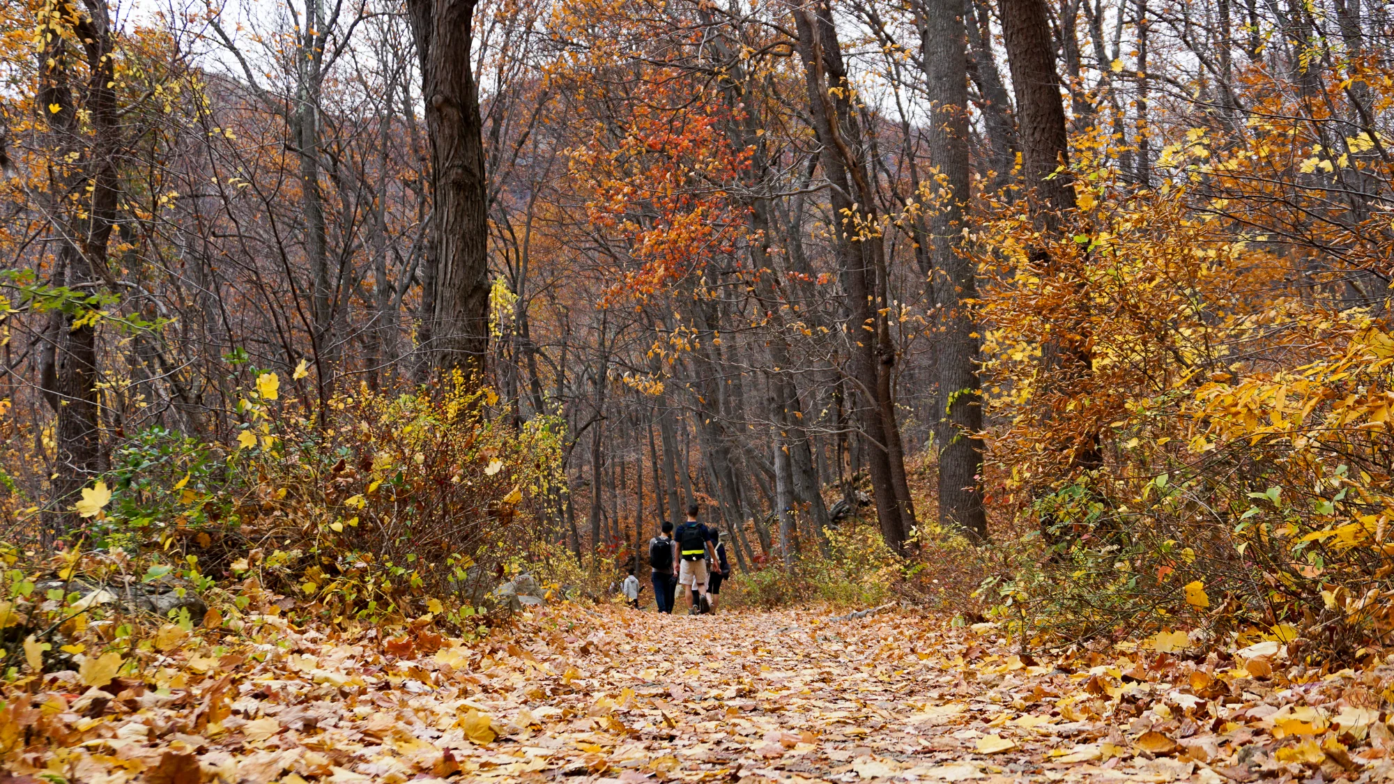 20151107-DSC06392.jpg