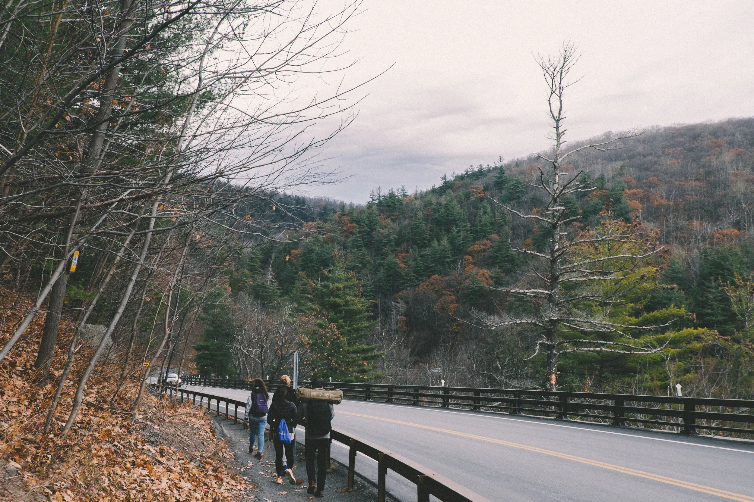 Kaaterskill Falls-2.JPG