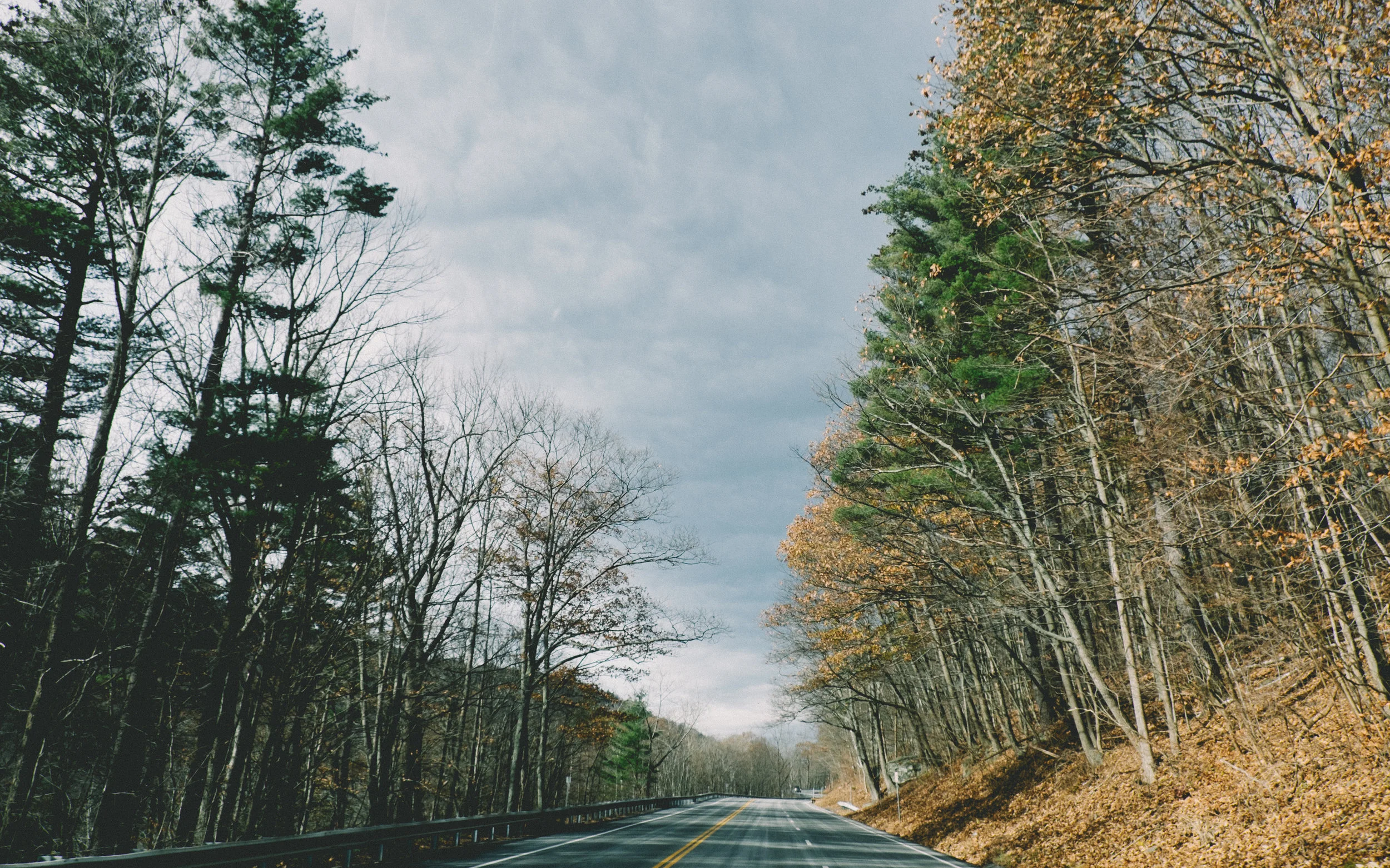 Kaaterskill Falls-1.JPG