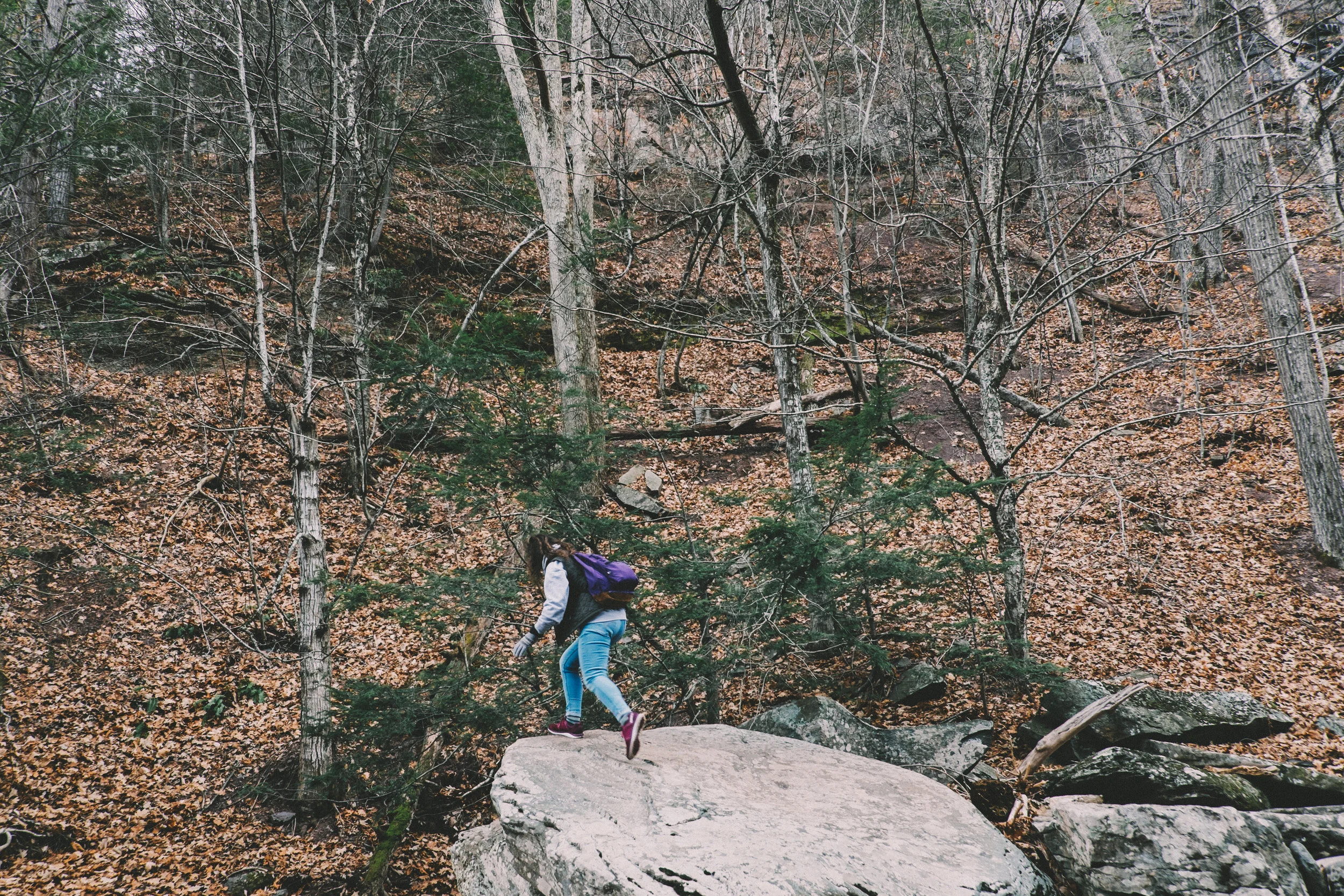Kaaterskill Falls-3.JPG