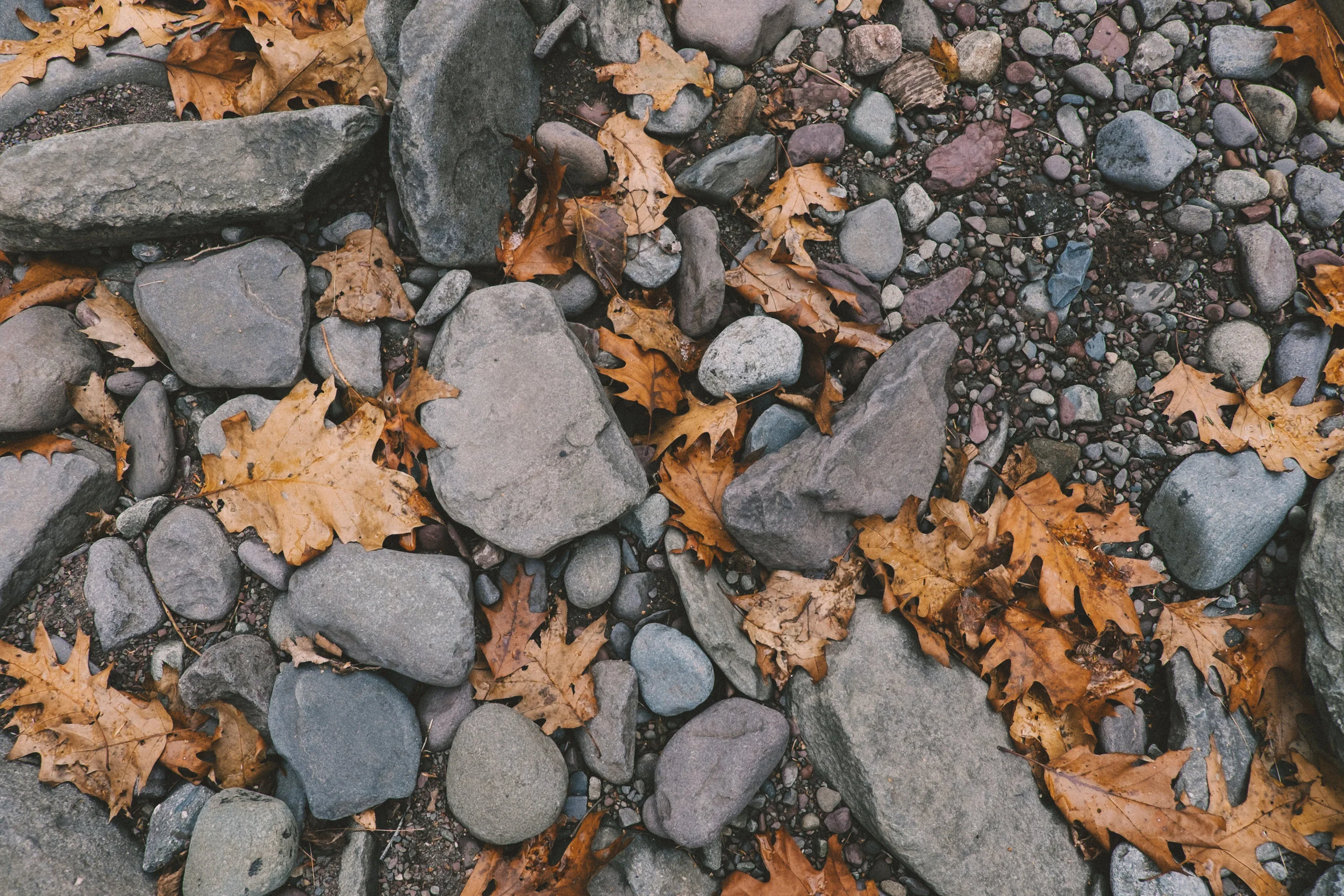 Kaaterskill Falls-8.JPG