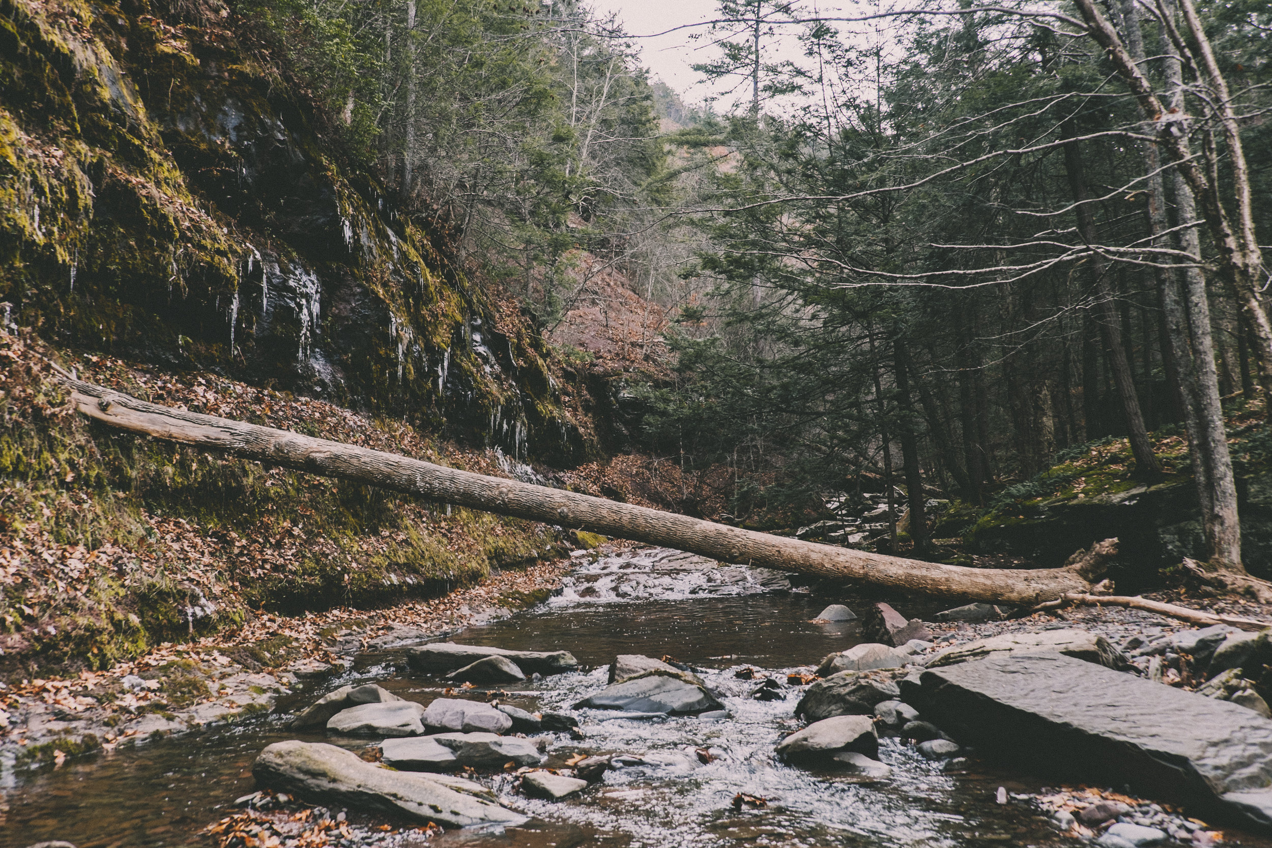 Kaaterskill Falls-9.JPG