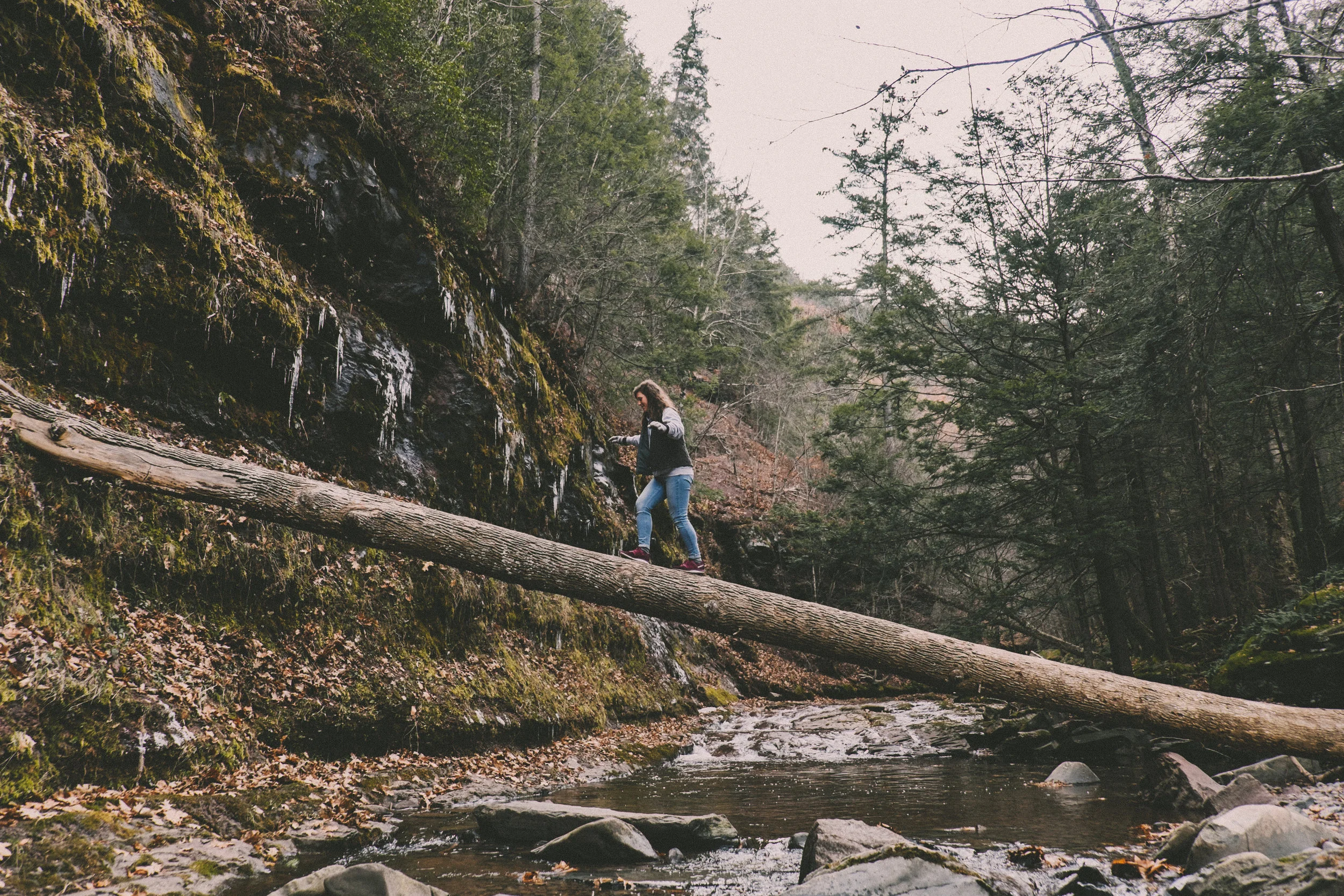 Kaaterskill Falls-10.JPG