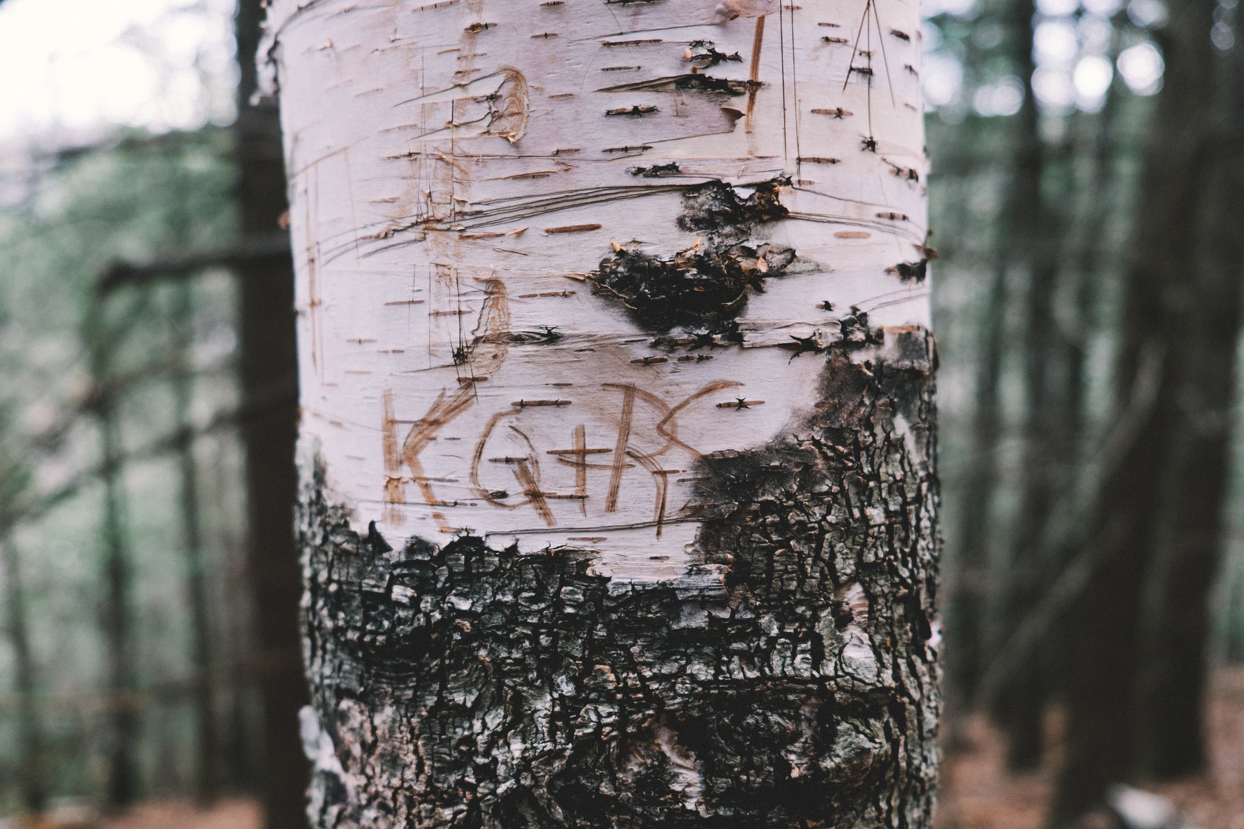 Kaaterskill Falls-14.JPG