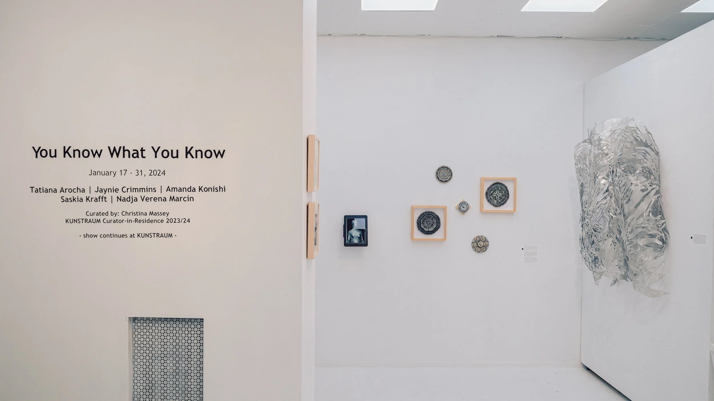 Kunstraum_You_Know_What_You_Know_Exhibit_1.19.2024_High_Res - 0043.JPG