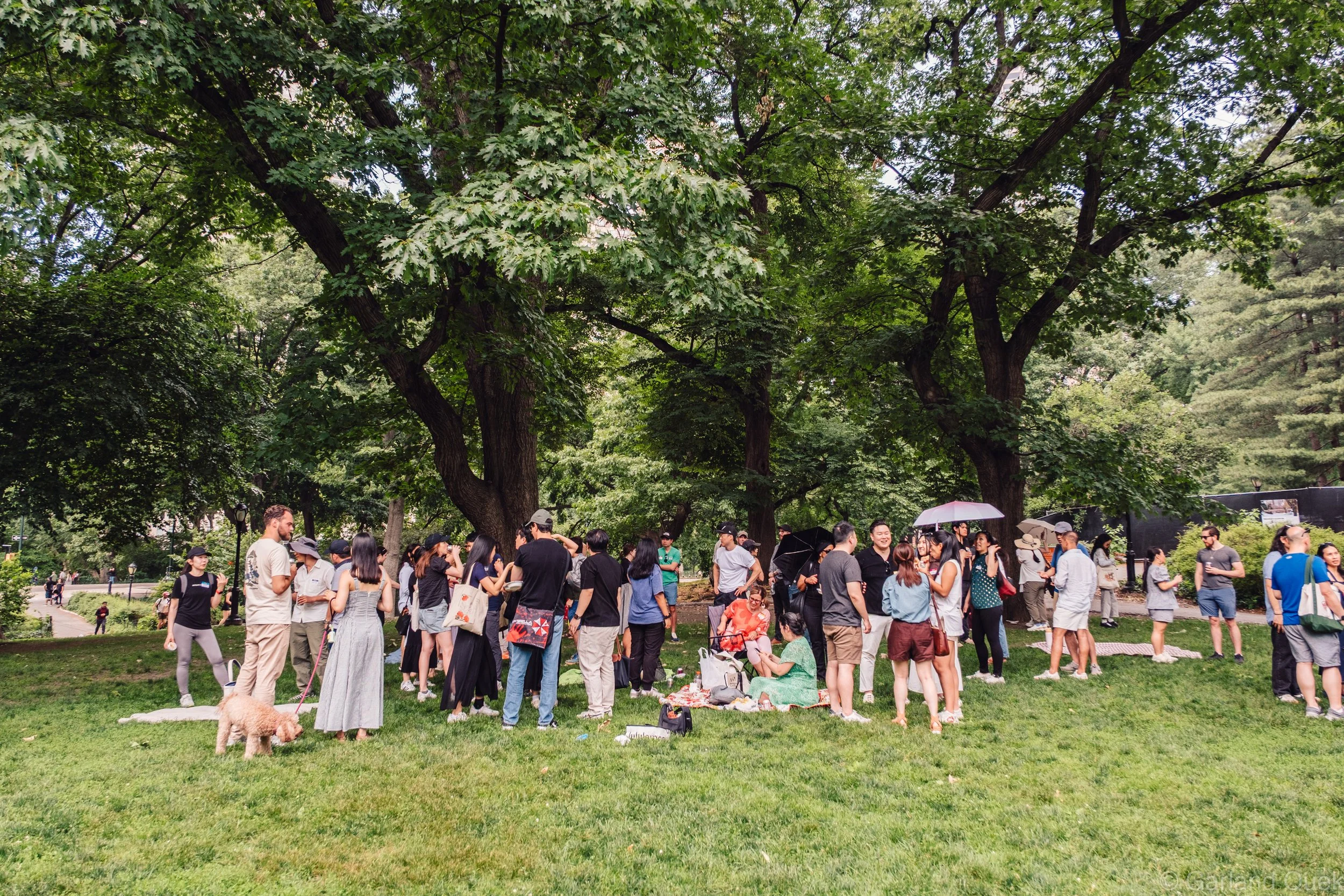CIT_Annual_Central_Park_Picnic_3_Year_Anniversary_6.7.2026 - 30.jpg