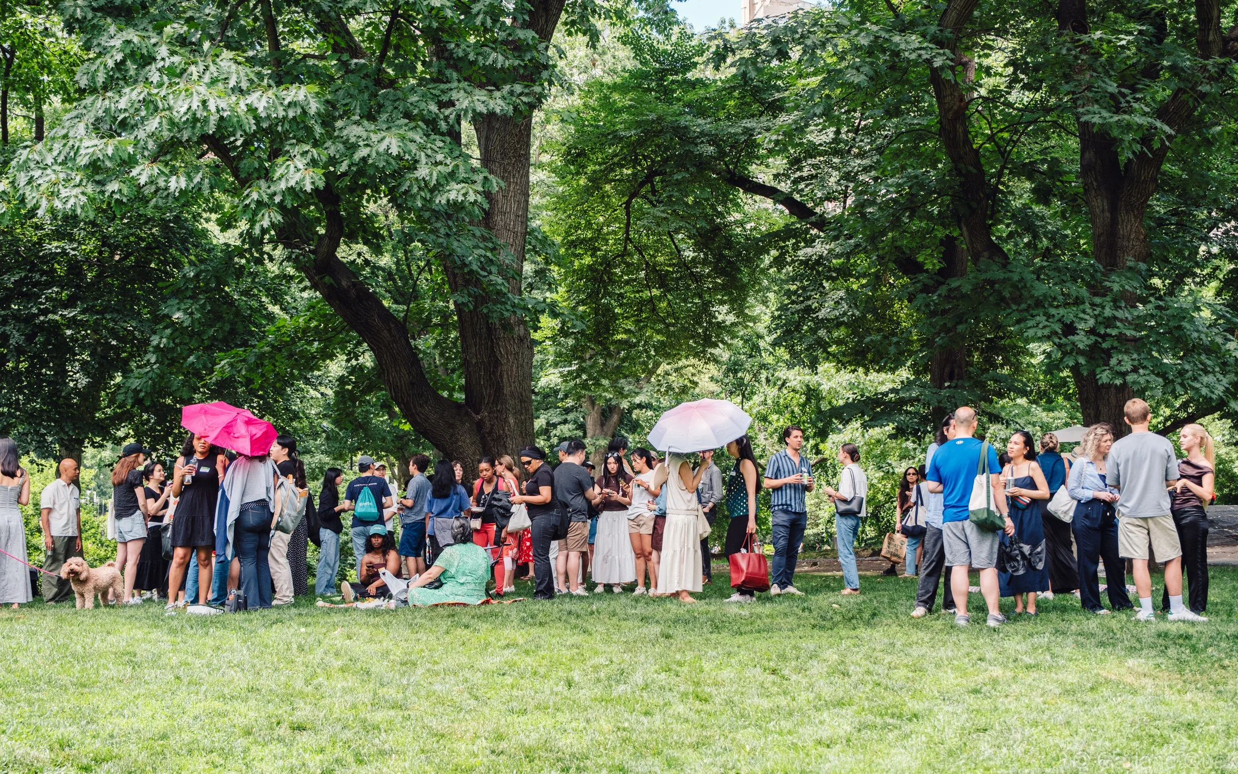 CIT_Annual_Central_Park_Picnic_3_Year_Anniversary_6.7.2026 - 36.jpg