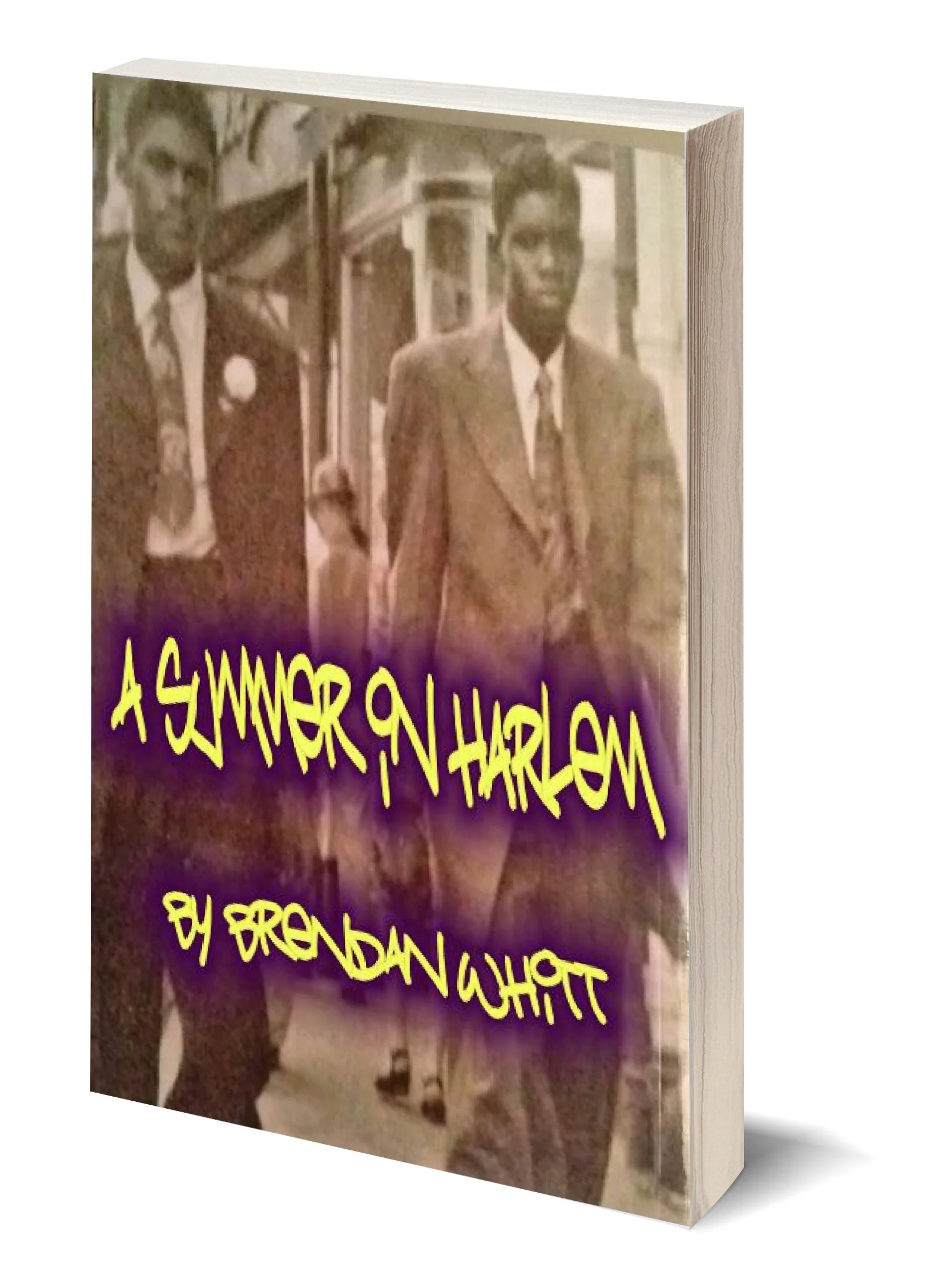 ASIH 3D cover.jpg