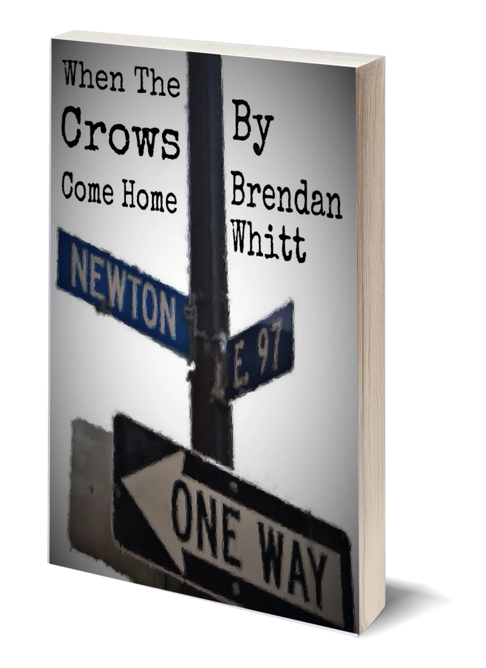 Crows 3D cover.jpg