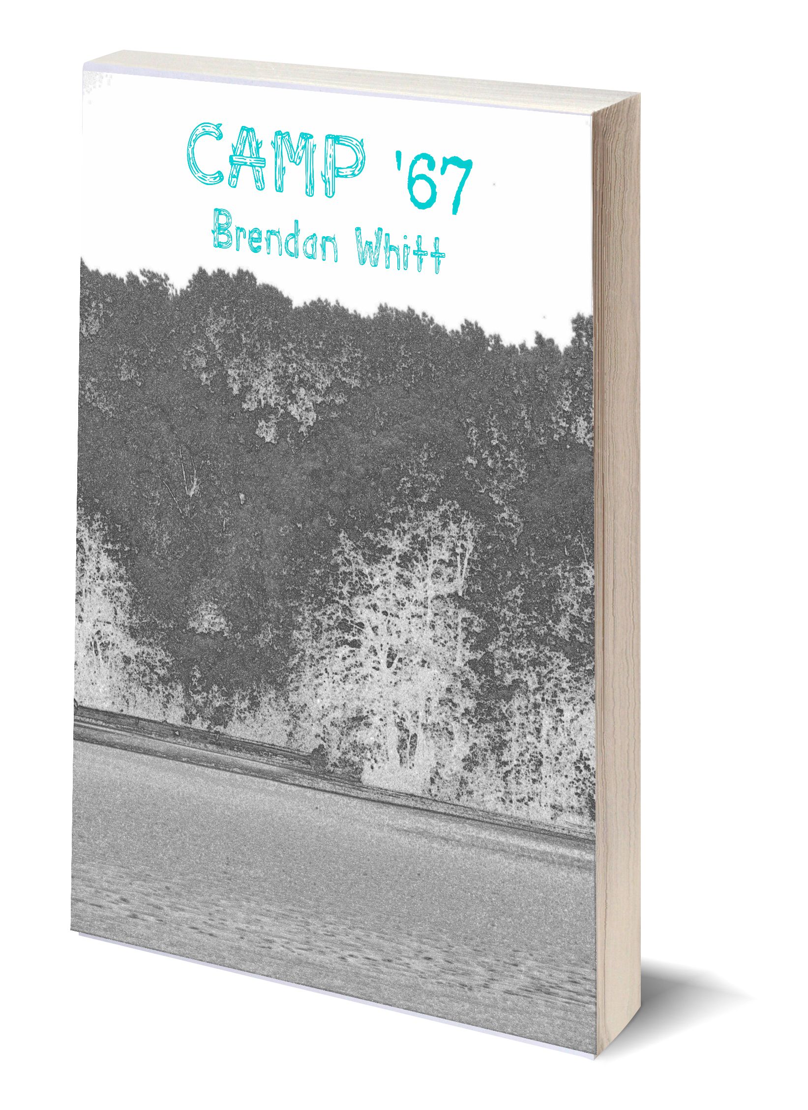 Camp 67 3D Cover.jpg