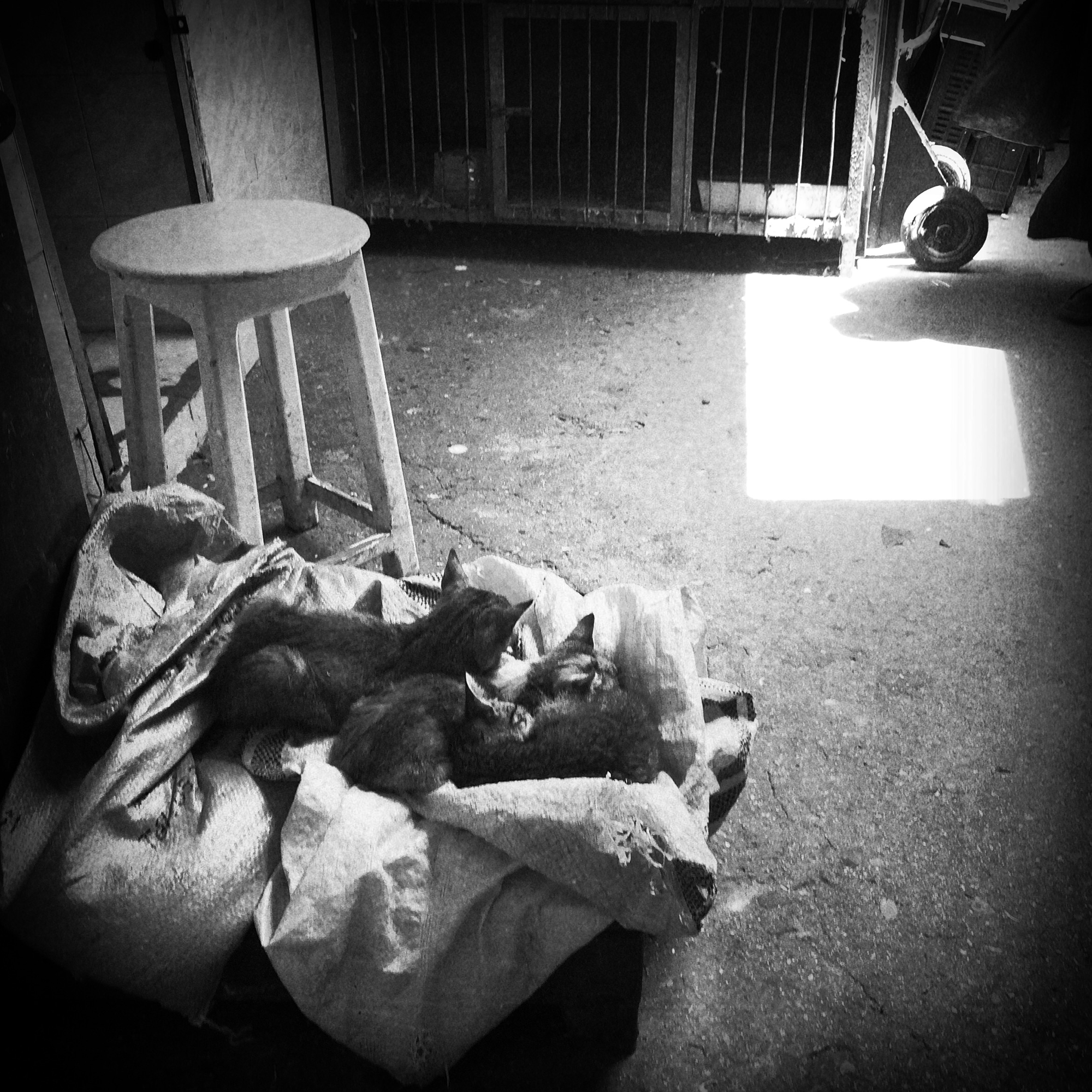 The Cat Outside takes place in Tangier, Morocco at the old haunts of various beat generation writers and ex-pats, including William S. Burroughs to whom the series' title is in reference to.