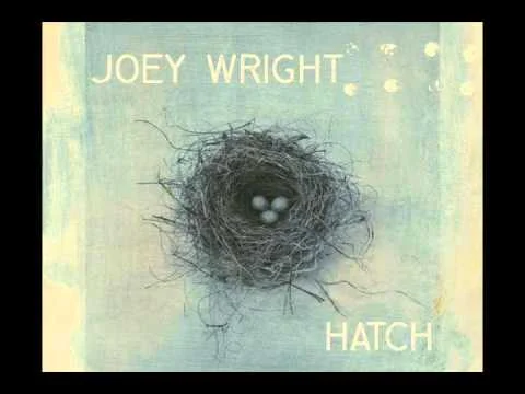 Joey Wright - Genius (from the album Hatch)