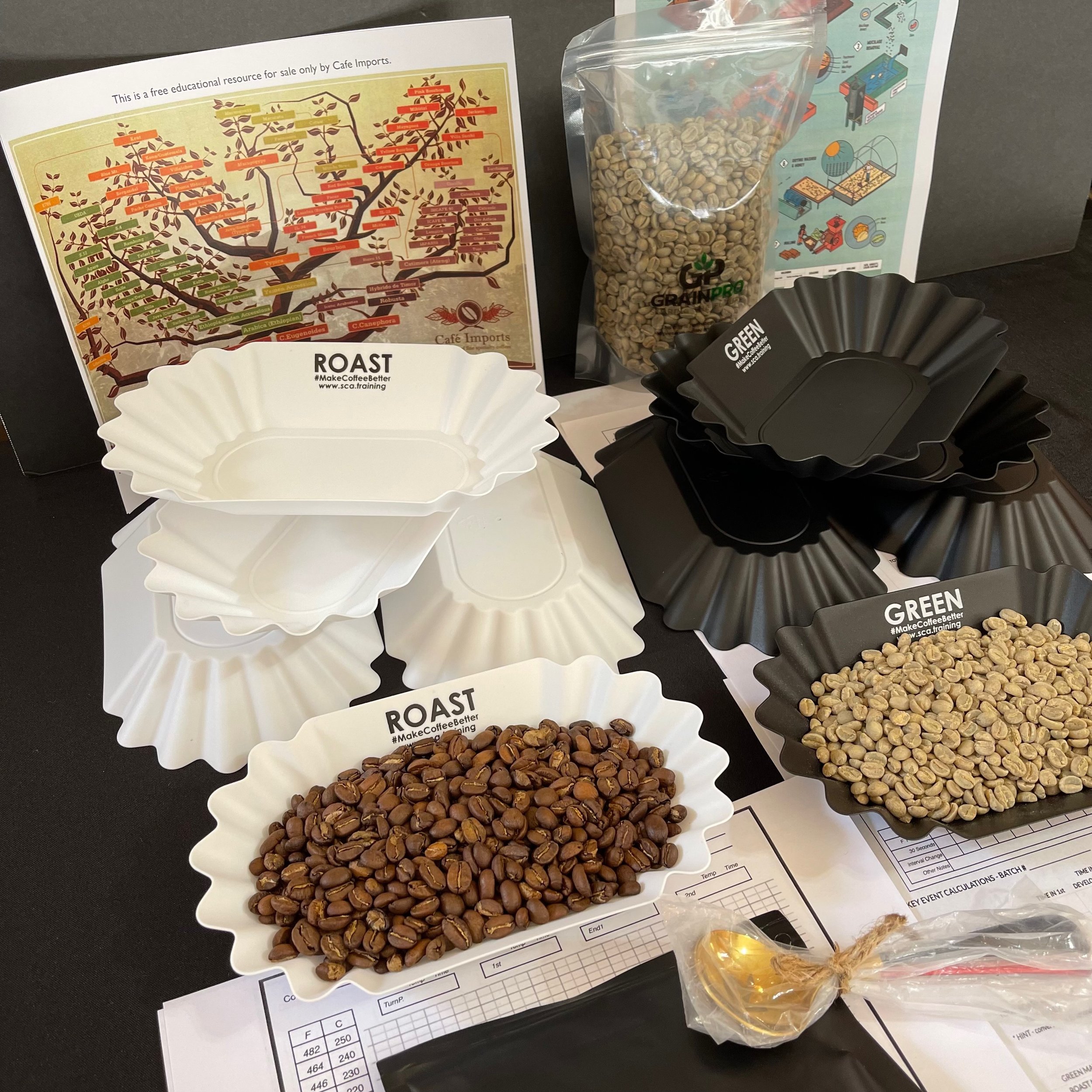 Home Green Coffee Roaster Bundle