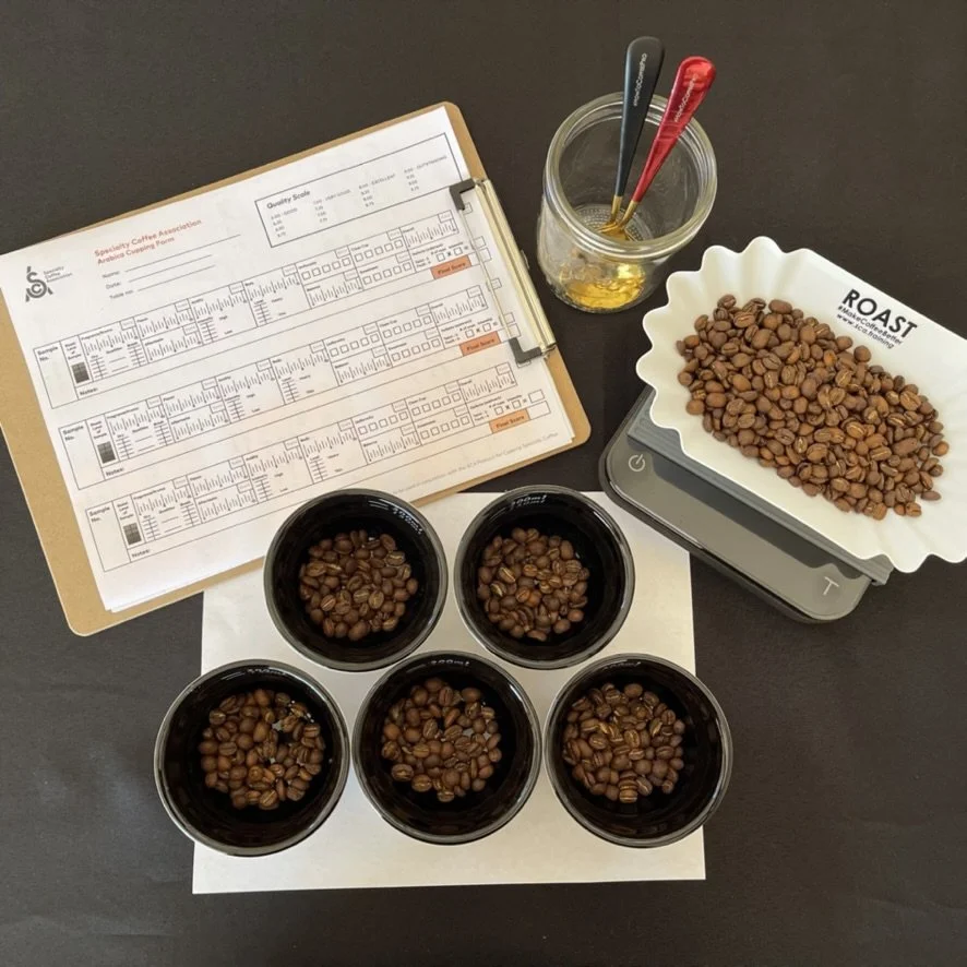 coffee cupping training kit (Copy)