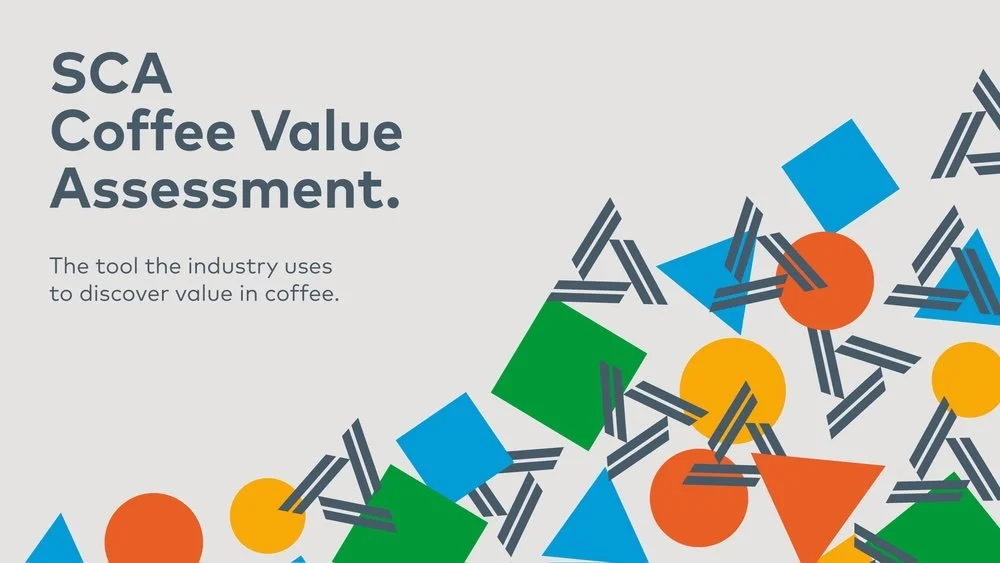 CVA For Cuppers Course - SCA Certified