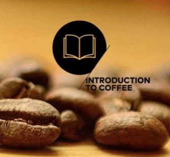 SCA Introduction to Coffee ROCC Logo