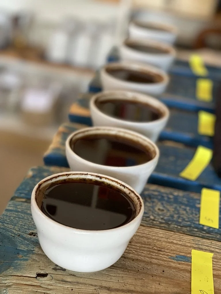 SCA CVA for Coffee Cuppers ROCC Logo