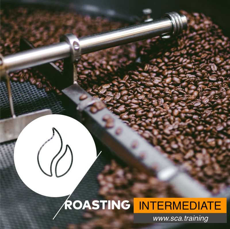 SCA Roasting Intermediate Logo ROCC