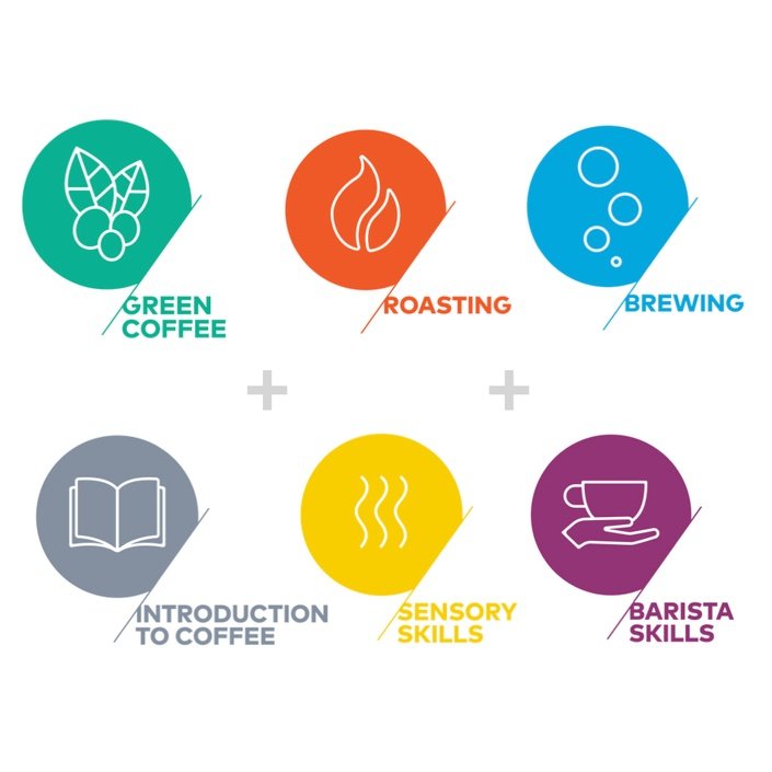 Ultimate Bundle.jpeg